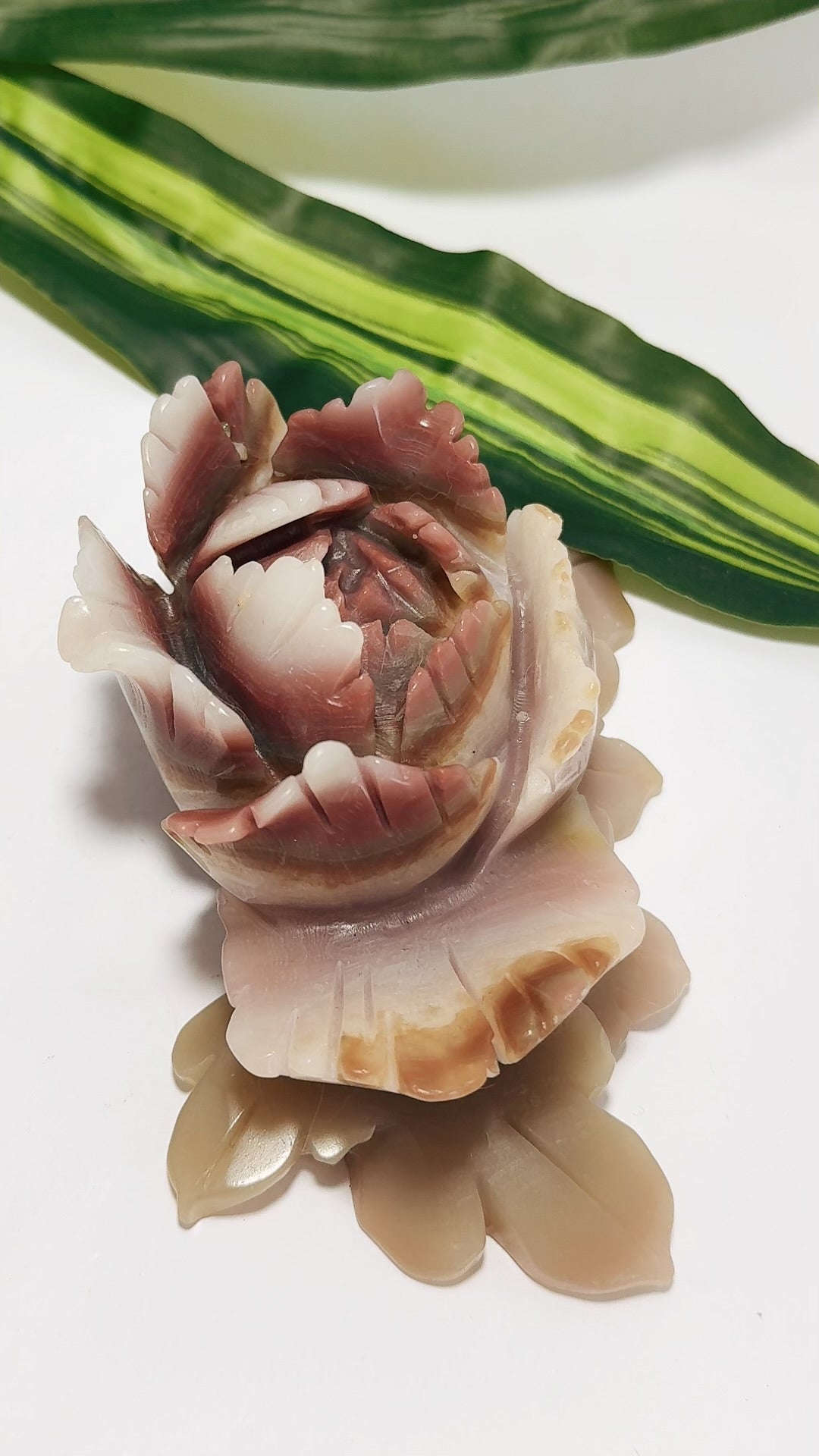 Pink Pistachio Calcite Rose 552g