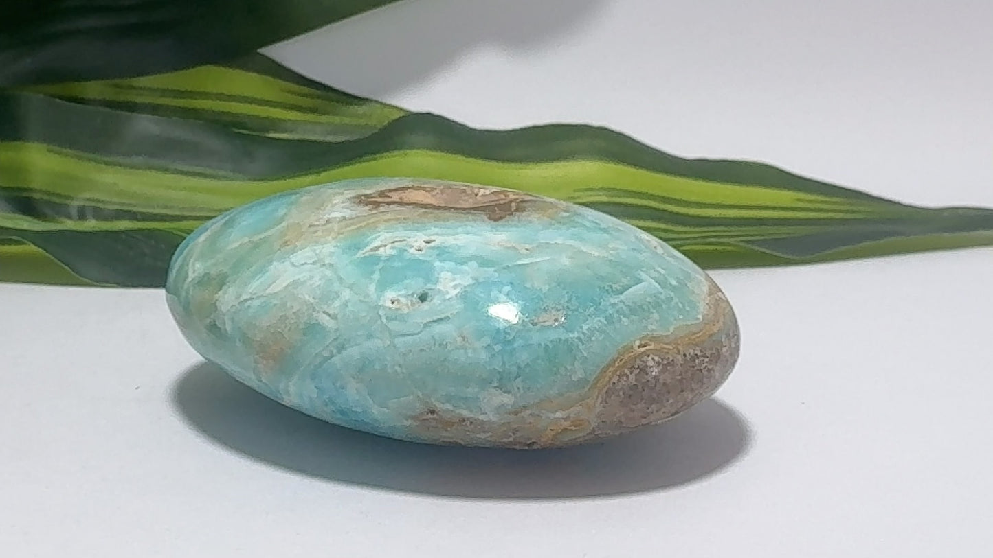 Blue Aragonite Palm Stone 172g