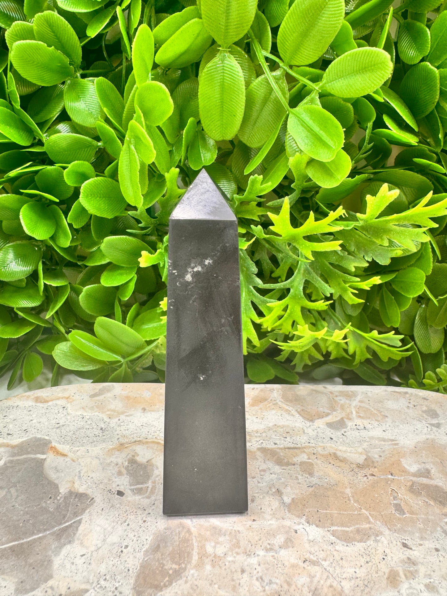 Shungite Pt 116g