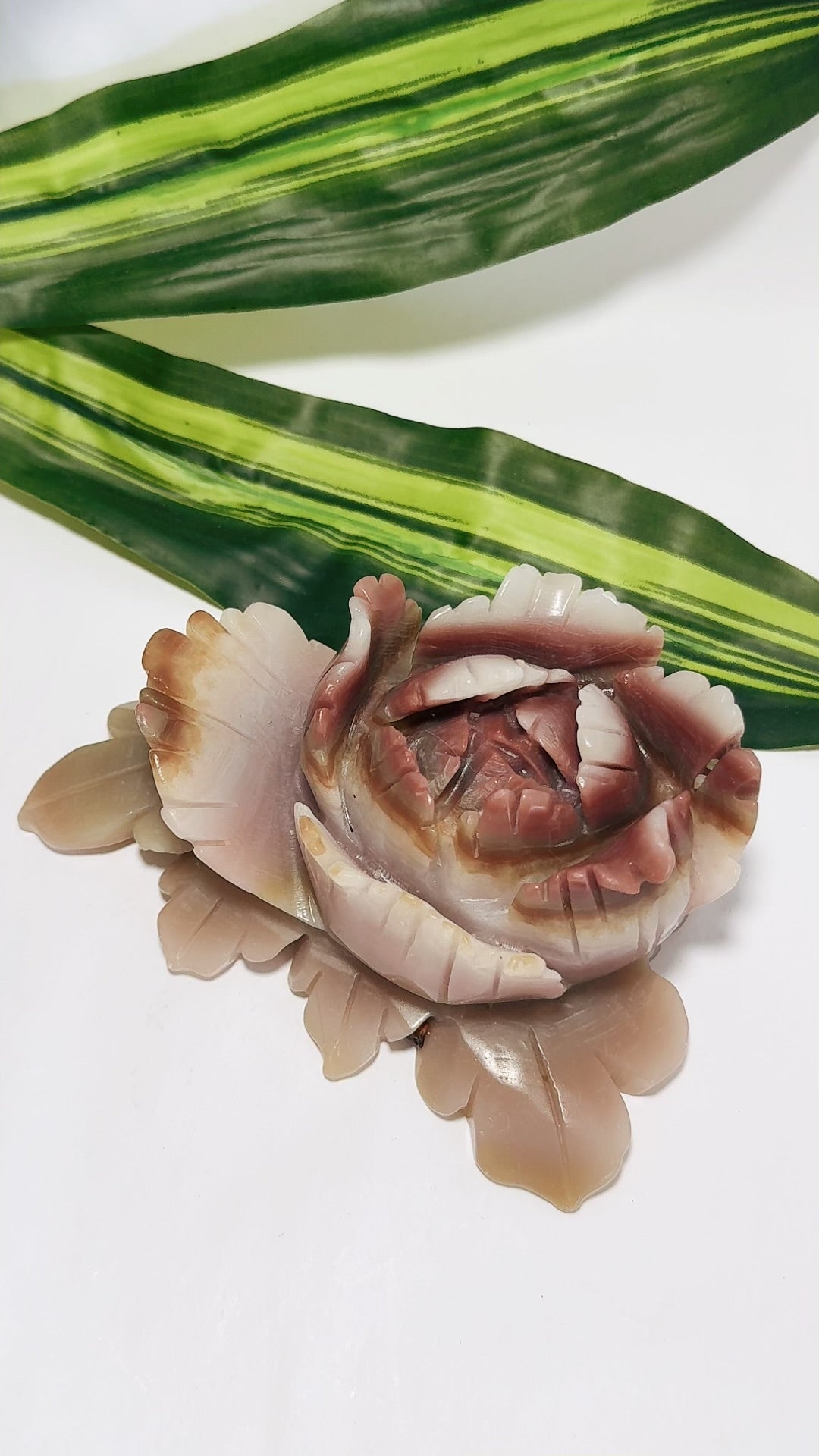 Pink Pistachio Calcite Rose 552g