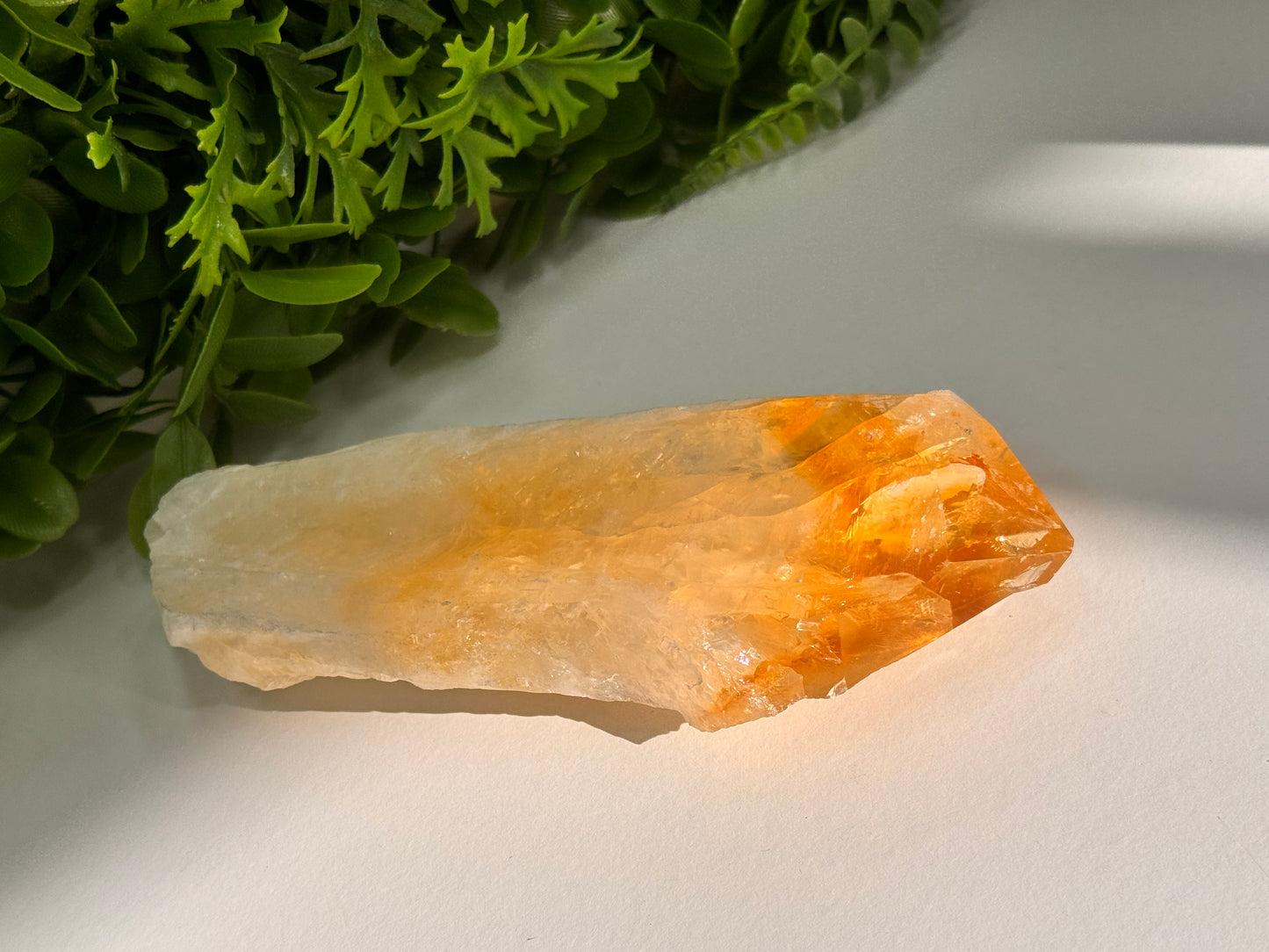 Citrine Septre Freeform 504g