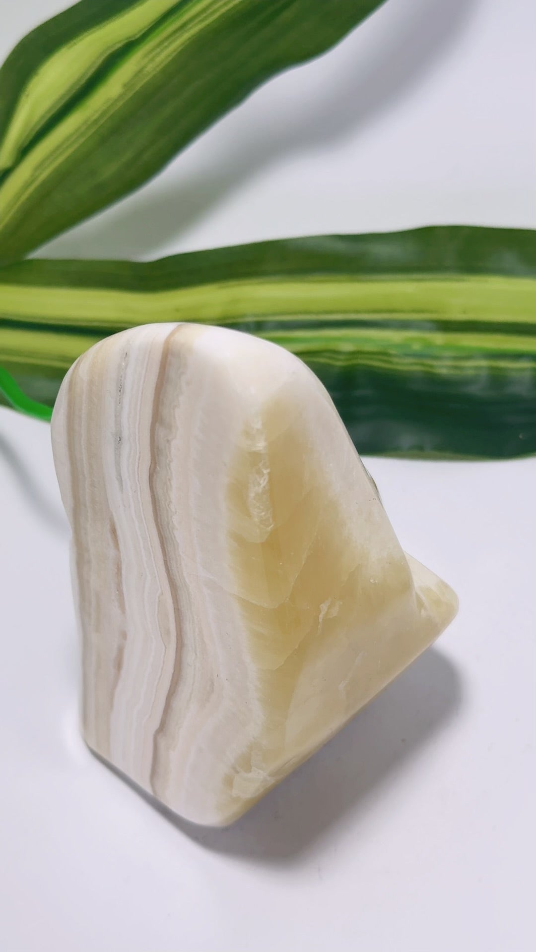 Pineapple Freeform 624g