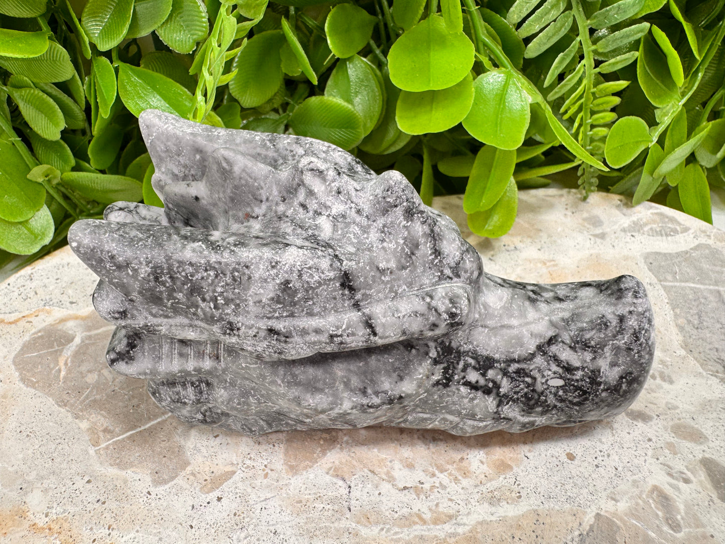 Fossil Dragons Skull 528g