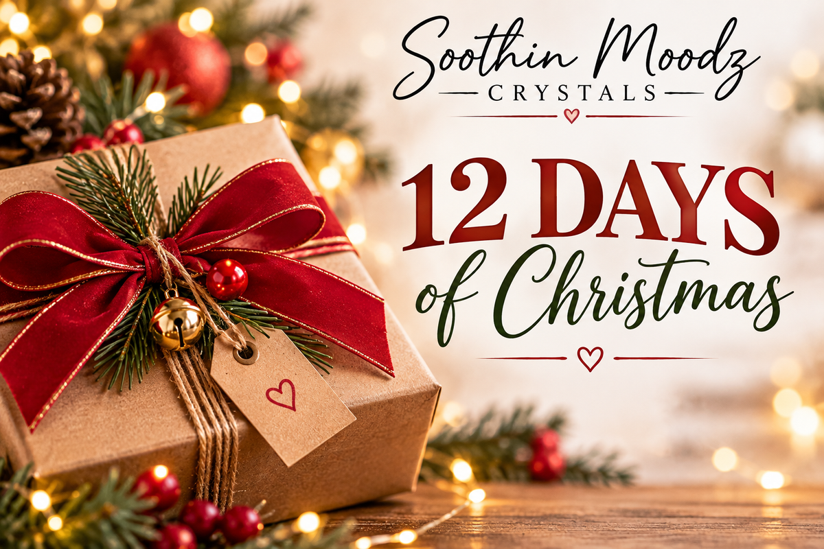 🎄🎅 12 DAYS OF CHRISTMAS! 🎅🎄