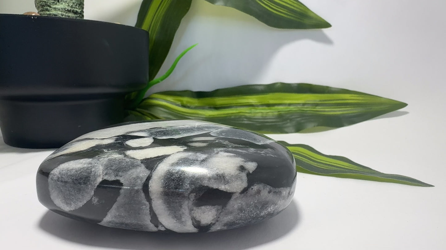 Shell Jasper Heart 738g