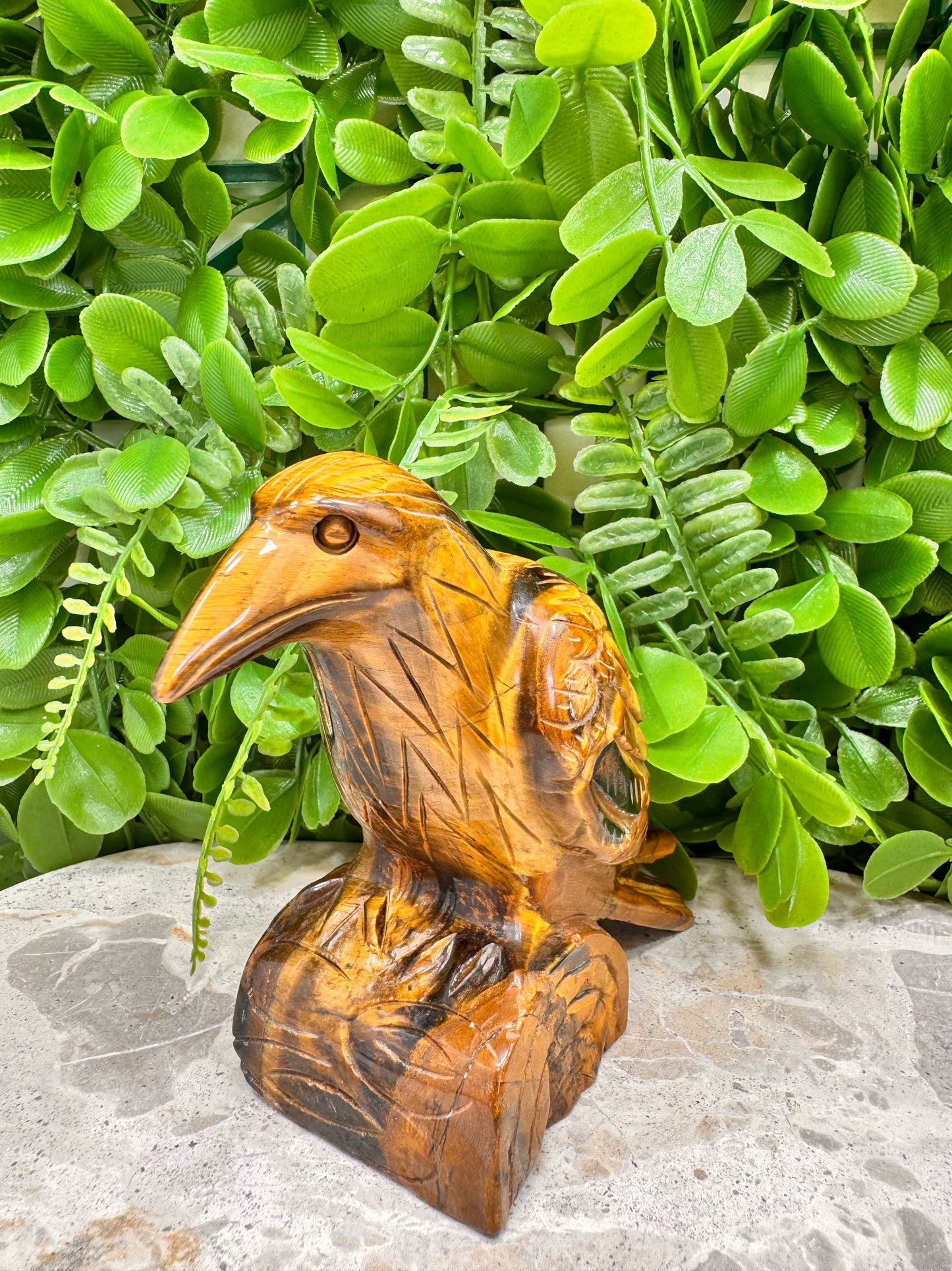 Tigers Eye Raven 746g