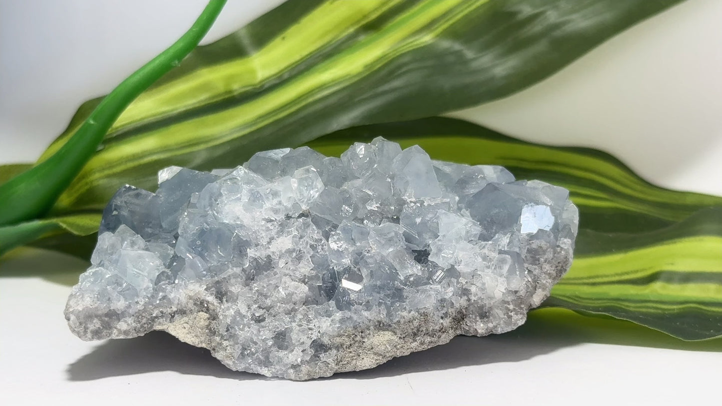 Blue Celestite Cluster 378g