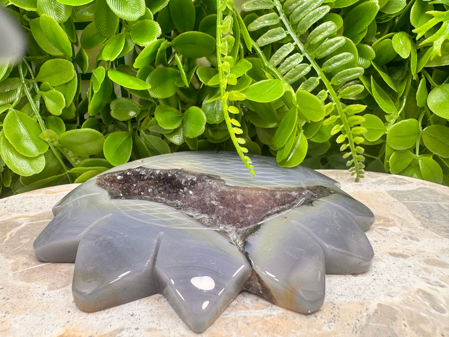 Agate Amethyst Druzy Sunflower 402g