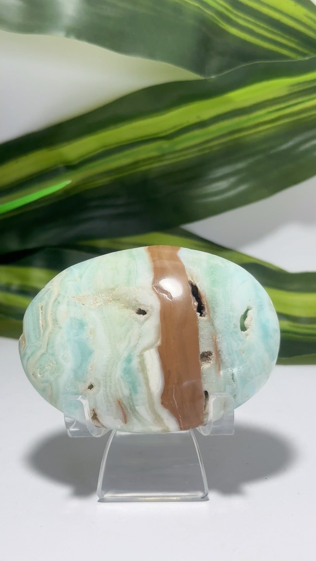 Blue Caribbean Calcite Palm Stone 126g