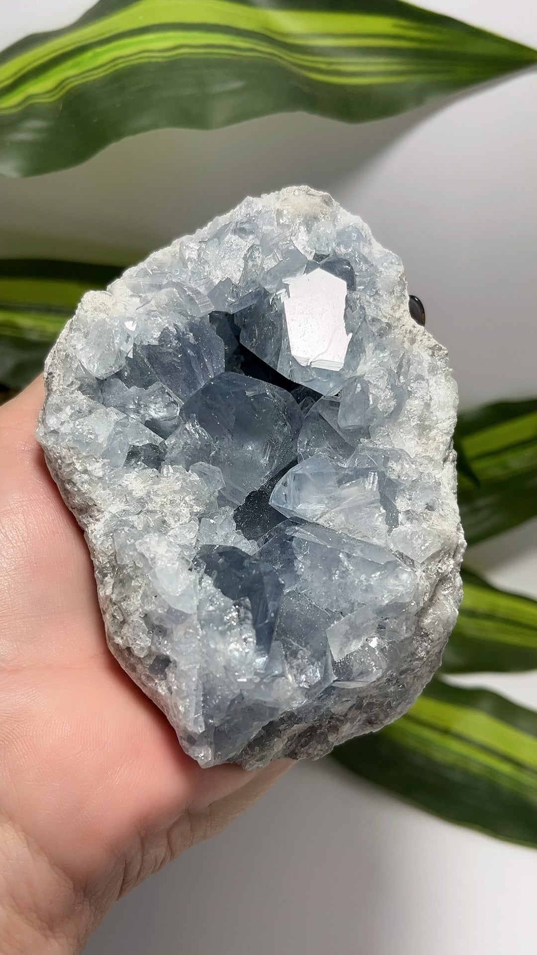 Blue Celestite Cluster 932g