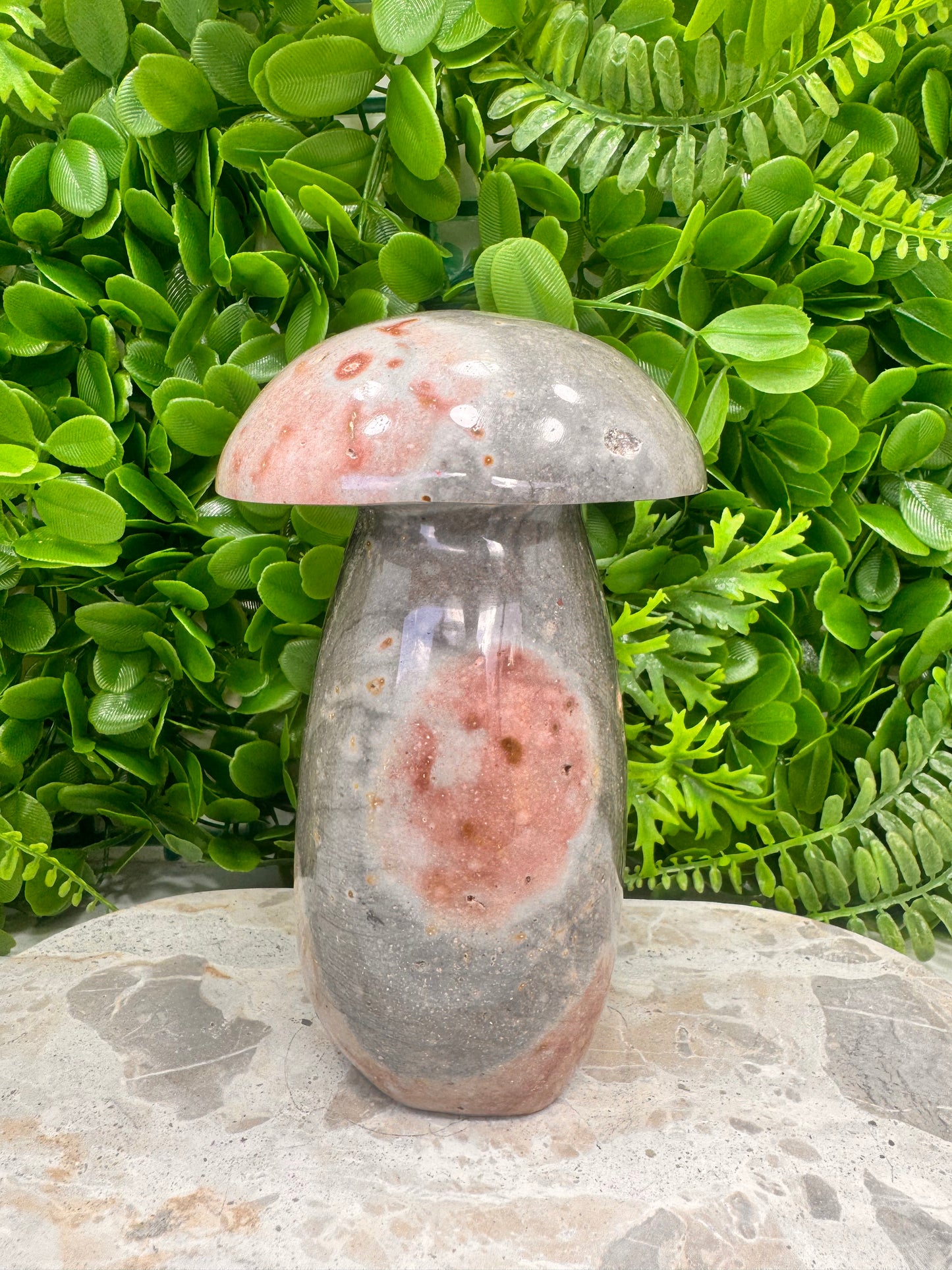 Ocean Jasper Mushroom 1.6kg