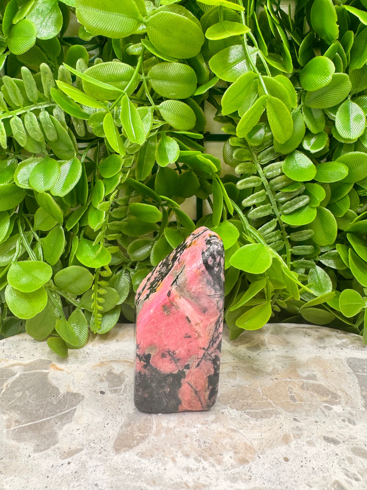 Rhodonite Freeform 270g
