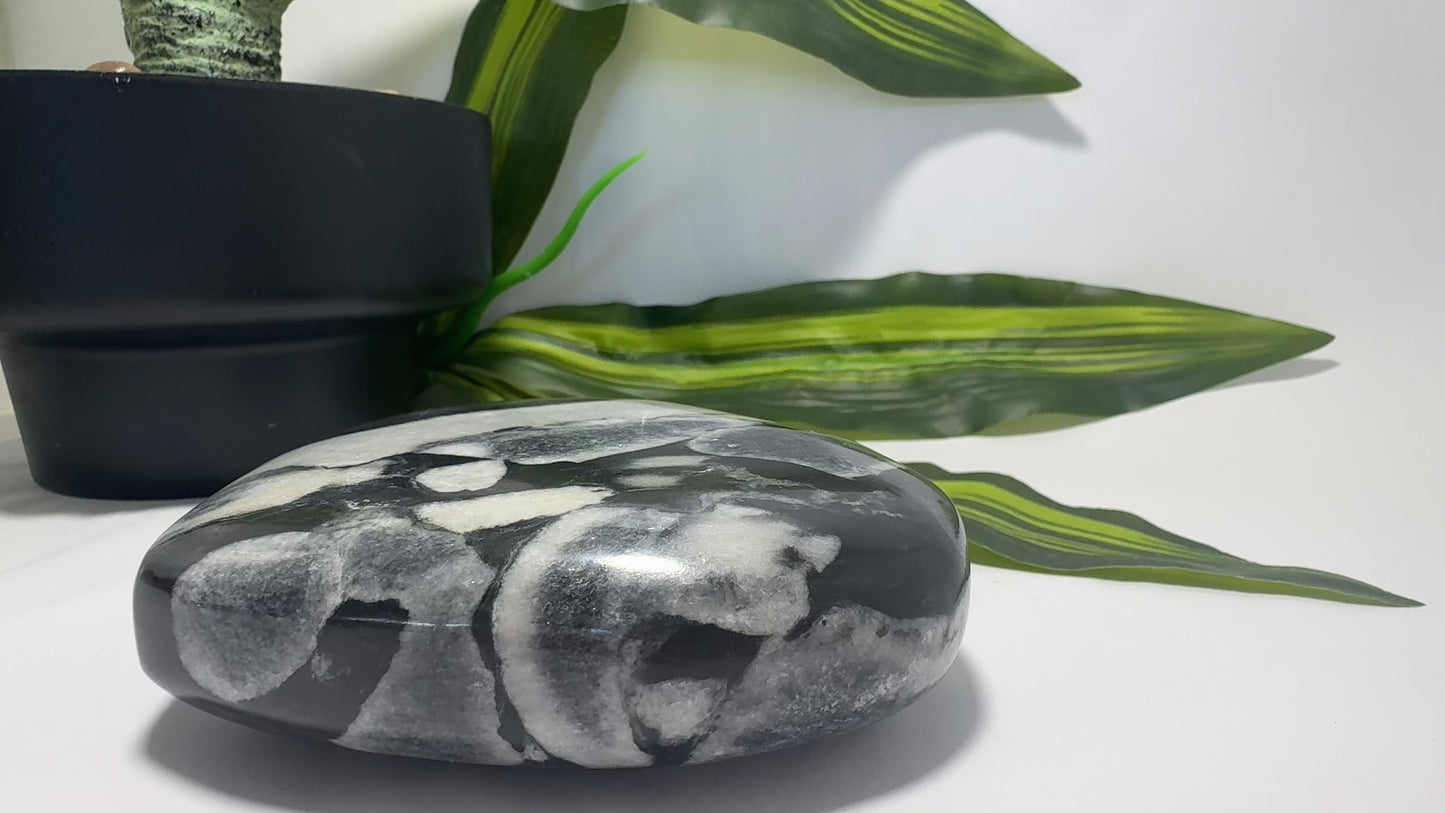 Shell Jasper Heart 738g