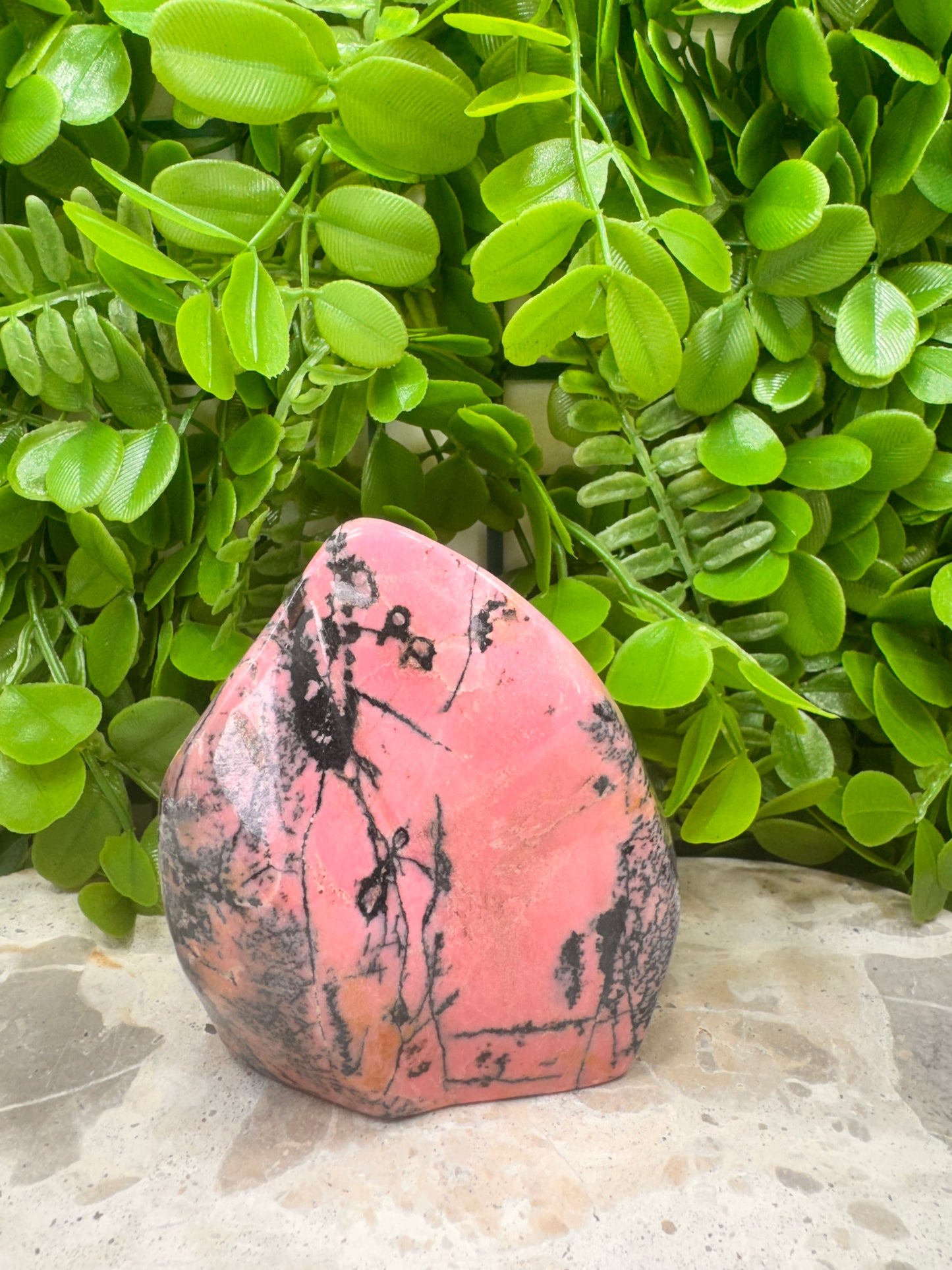 Rhodonite Freeeform 730g