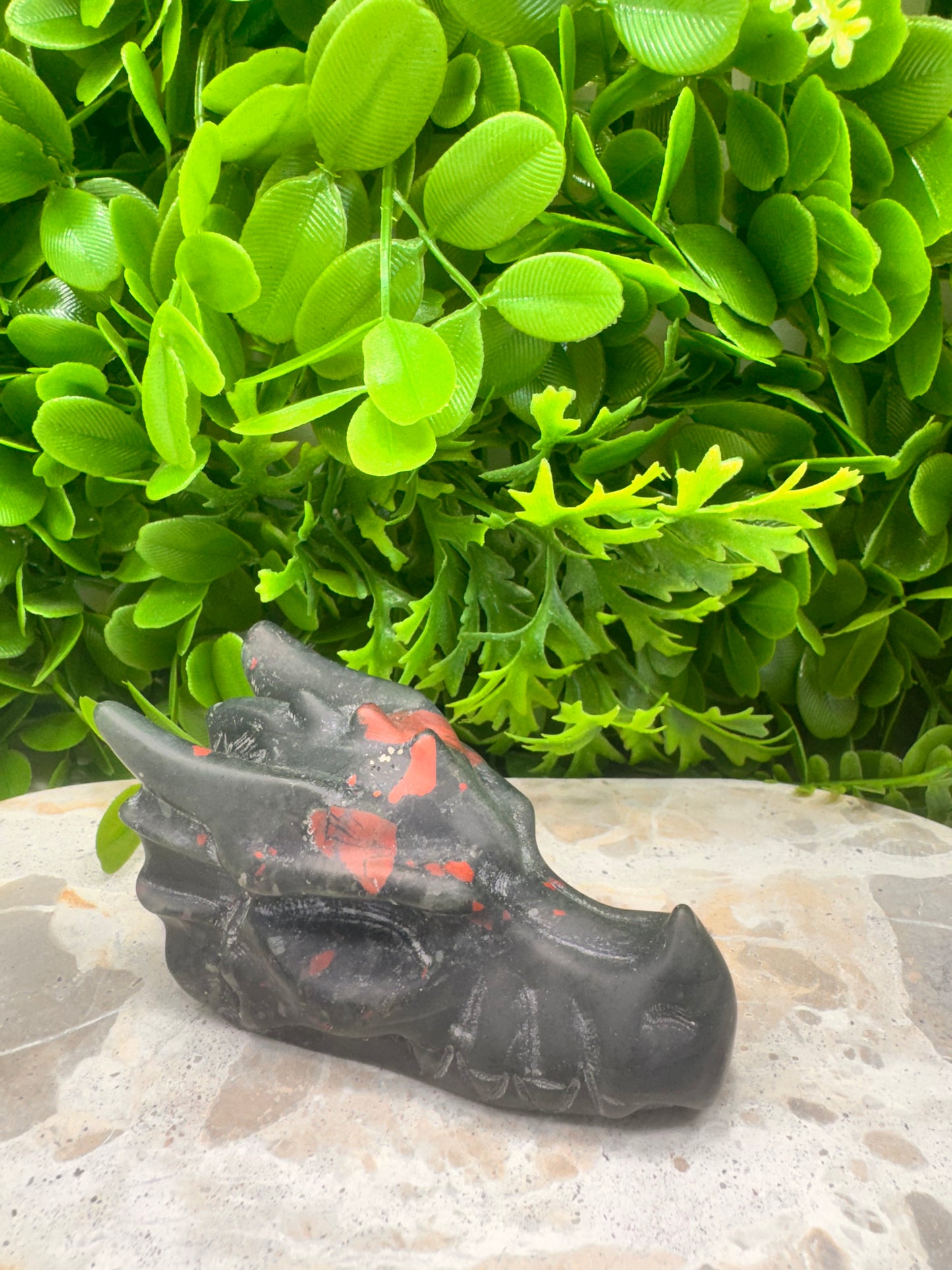 African Bloodstone Dragon Skull 278g