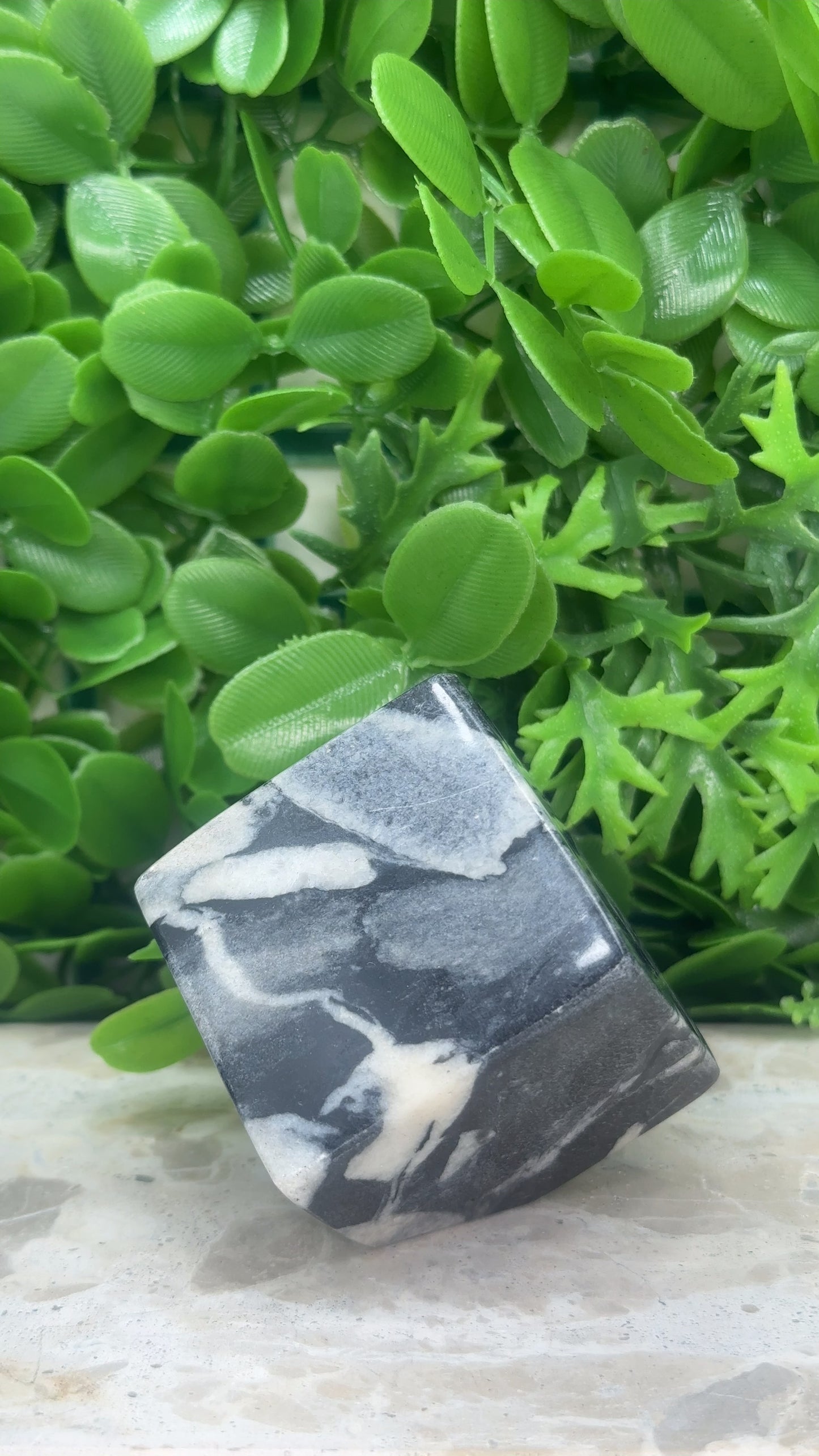 Shell Jasper Cube 320g