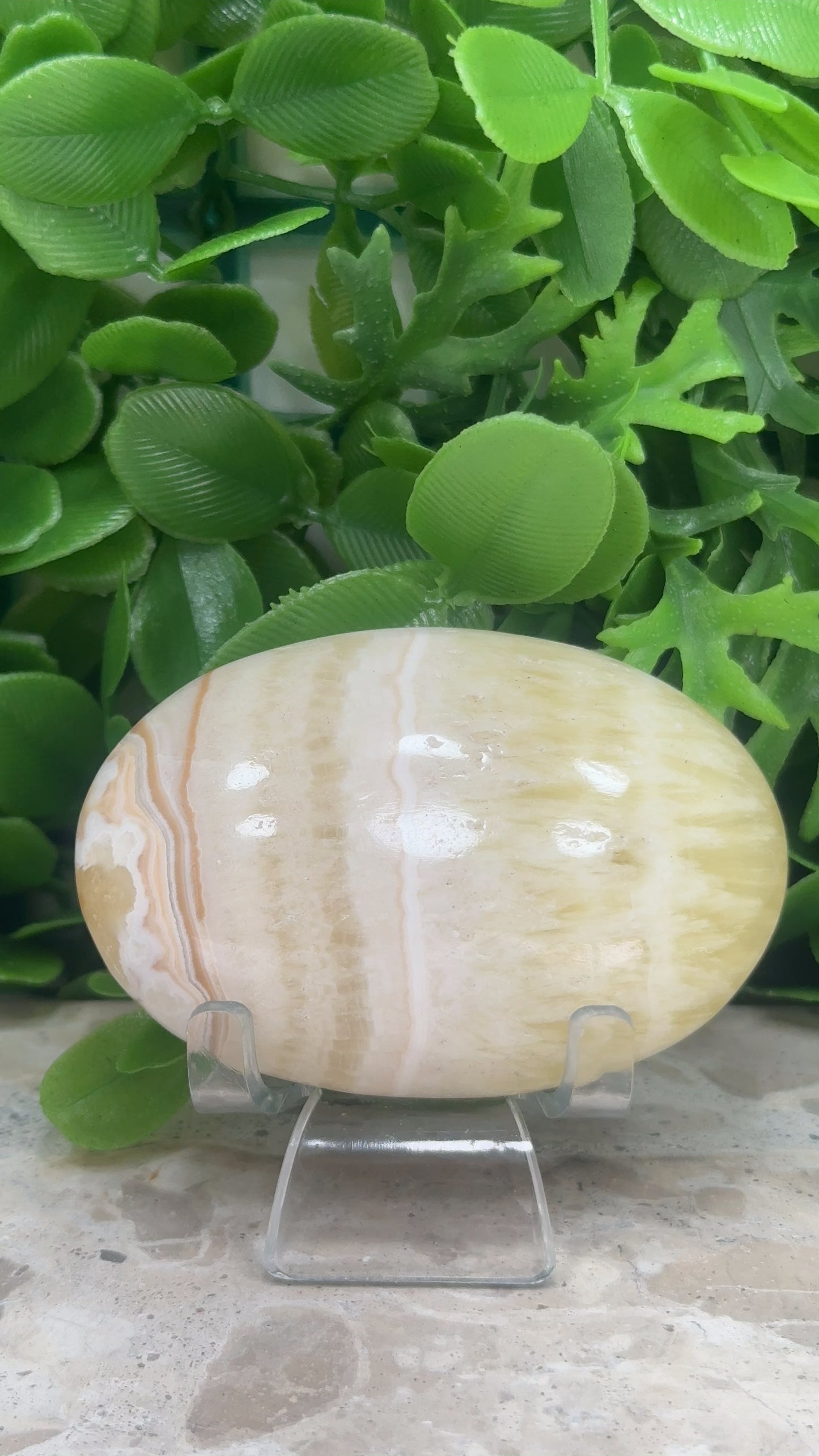 Pineapple Calcite Palm Stone 142g