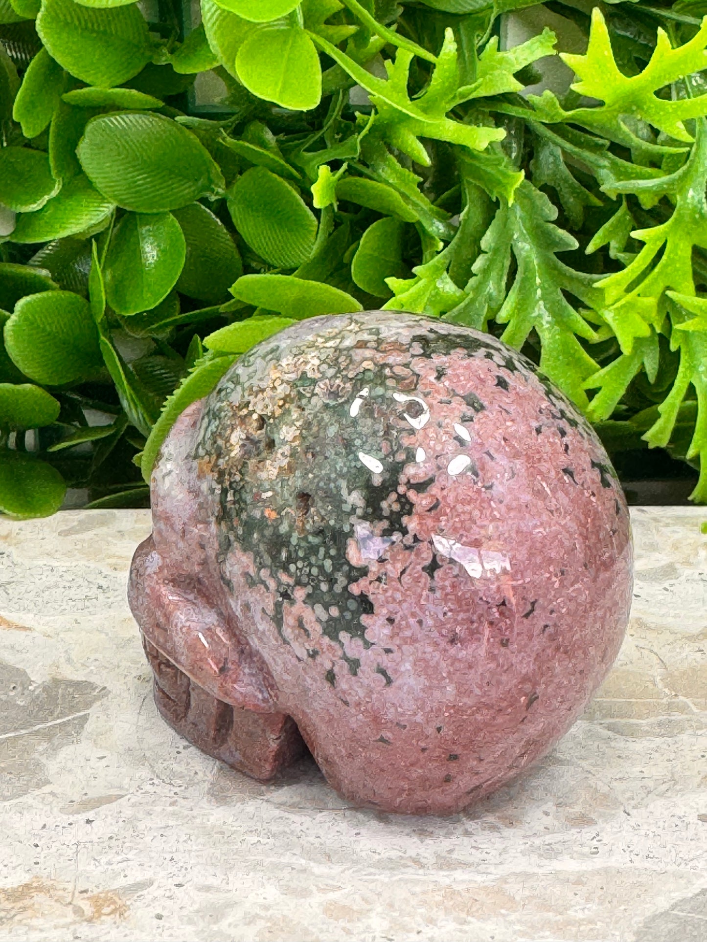 Ocean Jasper Skull 352g