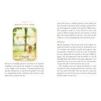 Midnight Sun Oracle: Magical Messages from the Nordic Midsummer