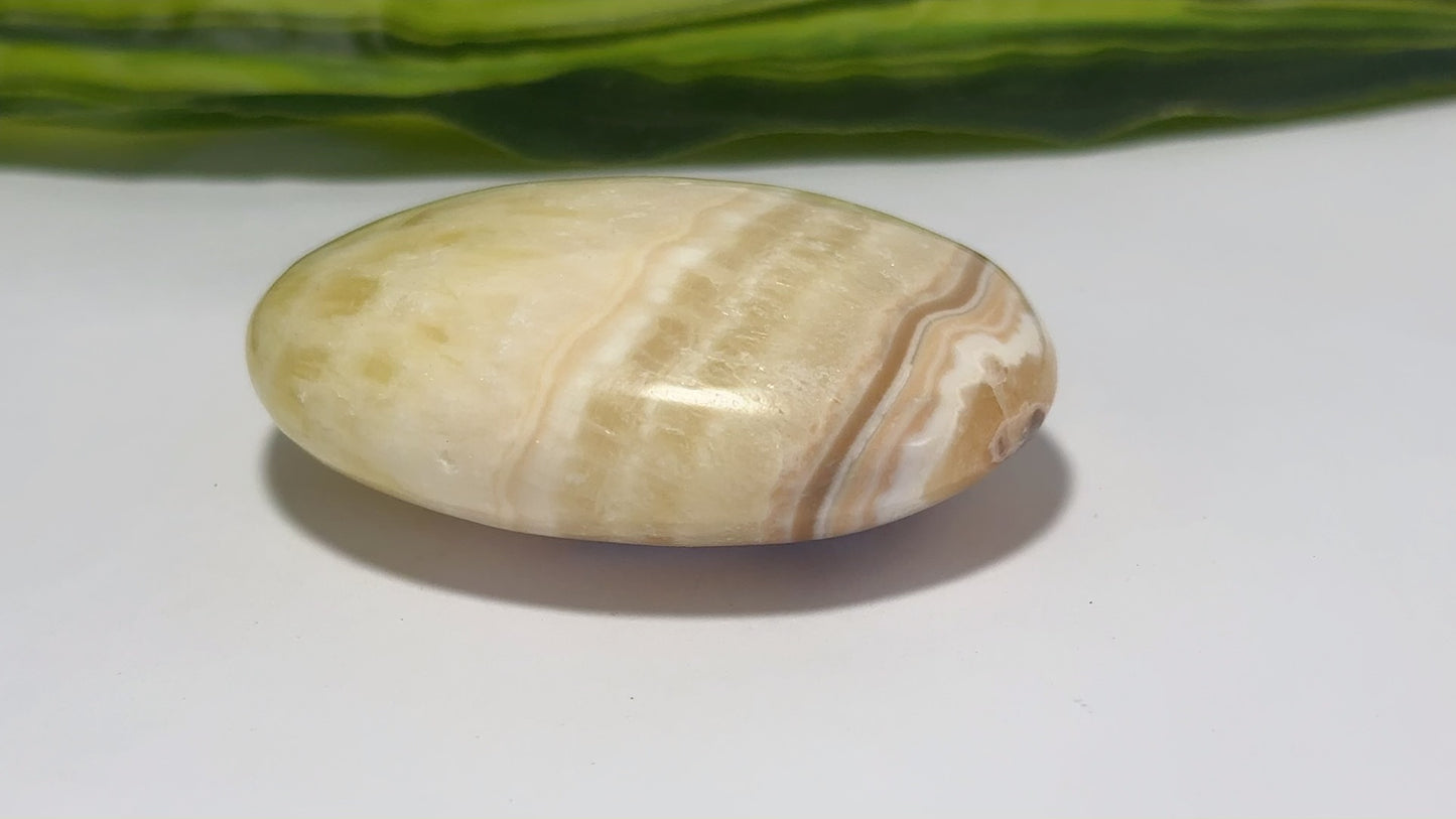 Pineapple Calcite Palm 100g