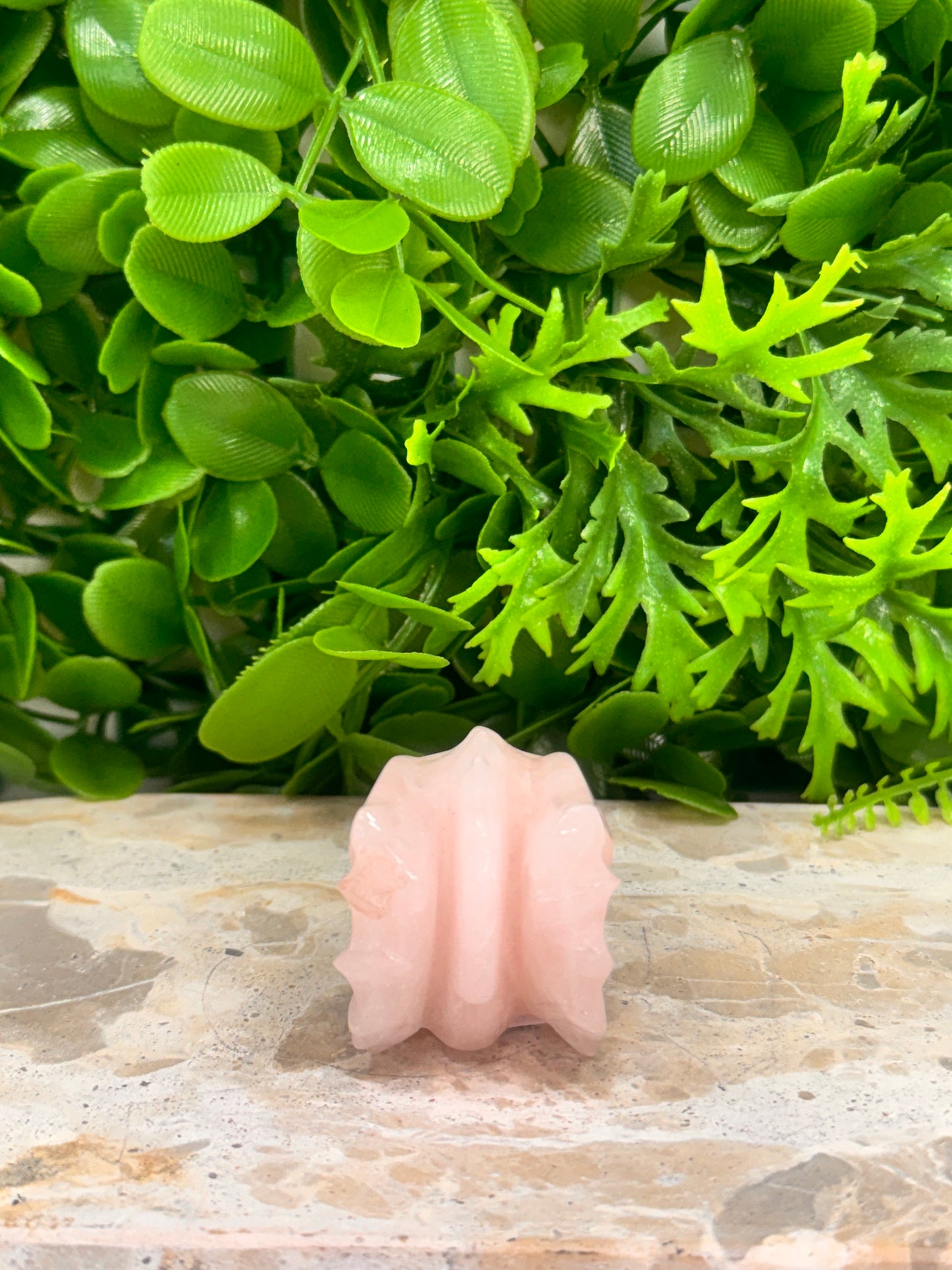 Rose Quartz Dragon Skull 102g