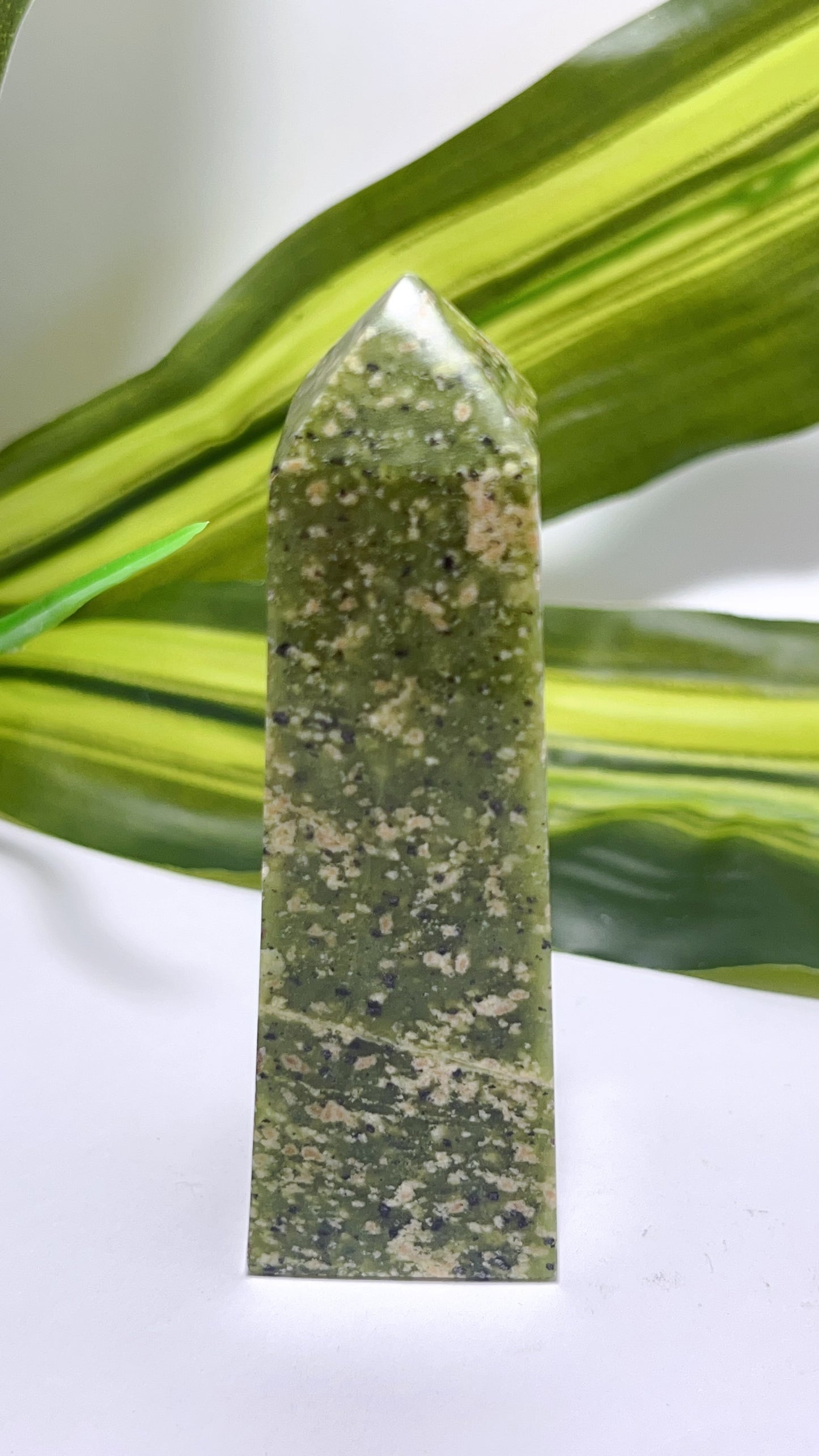 Dotted Serpentine Point 135g