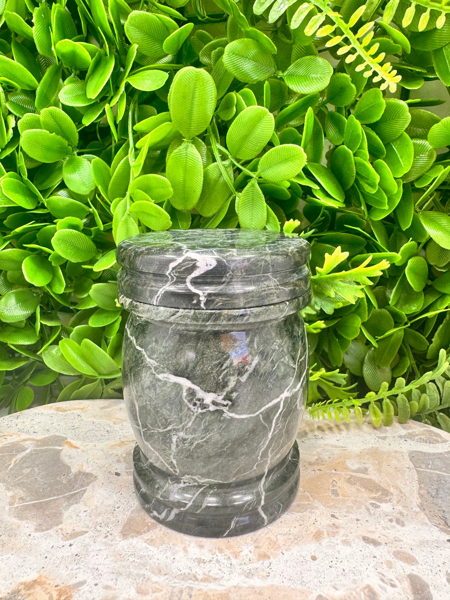Black Zebra Jasper Jar with lid 472g