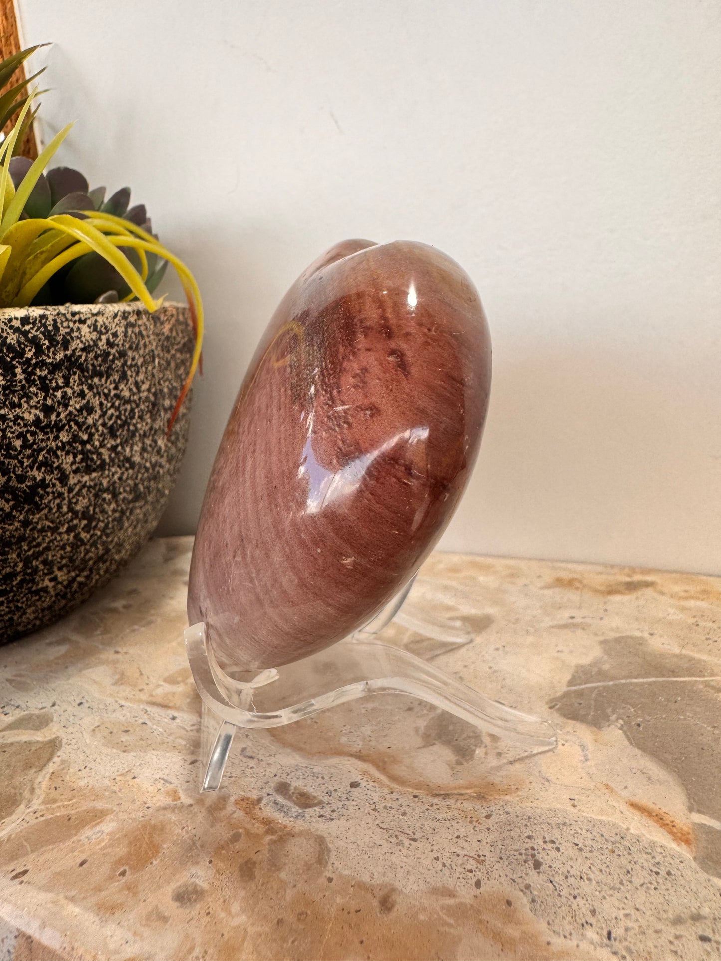 Petrified Wood Heart 266g