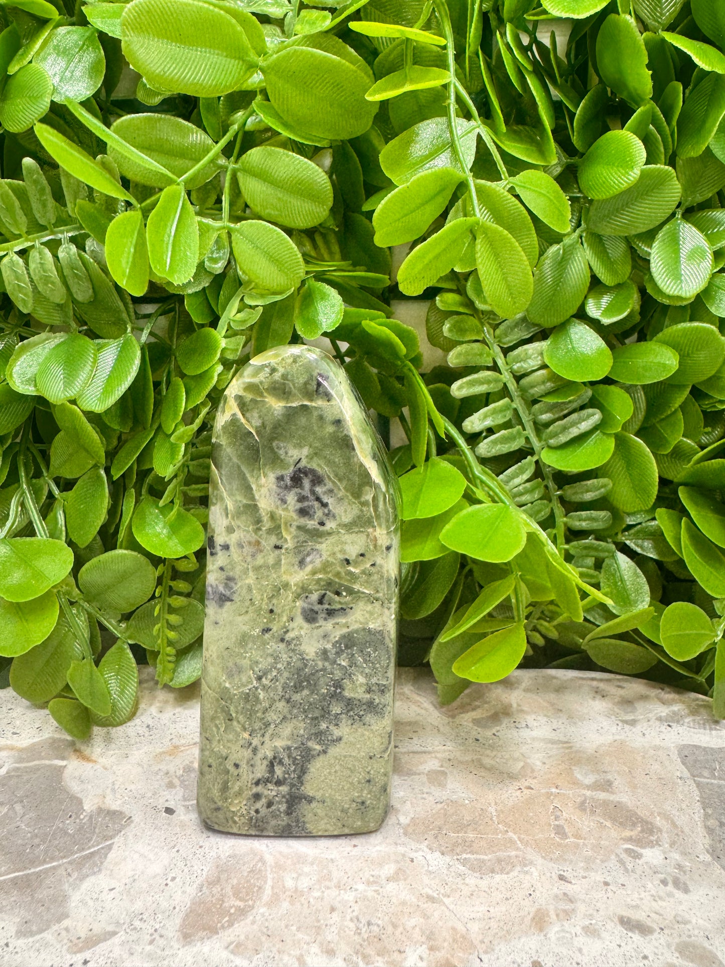 Nephrite Jade Freeform 322g