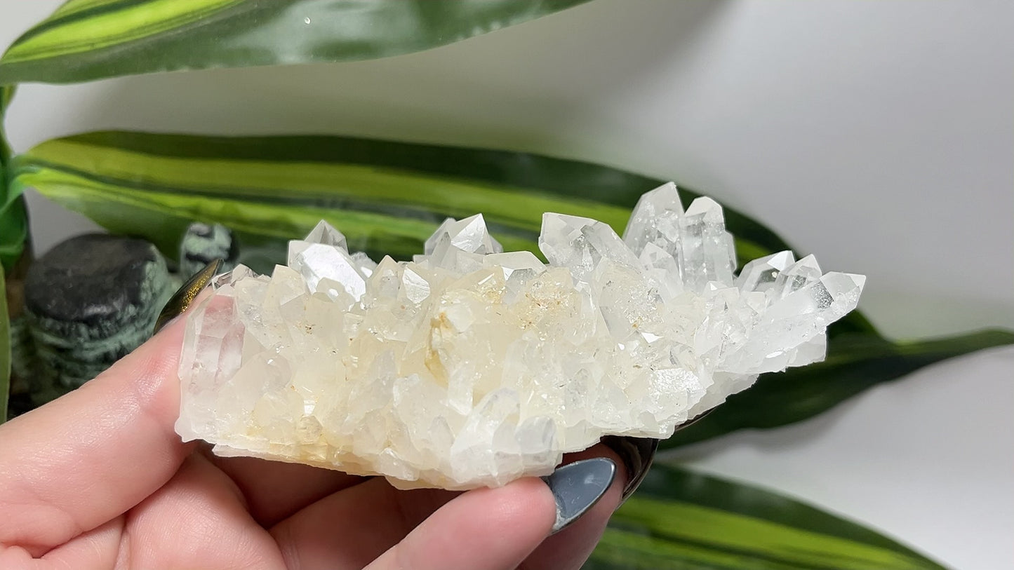Clear Quartz Cluster 266g