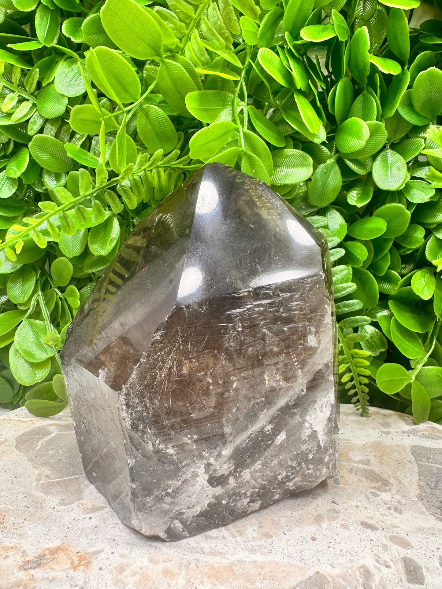 Smokey Quartz Freeform Polished Raw 1734g