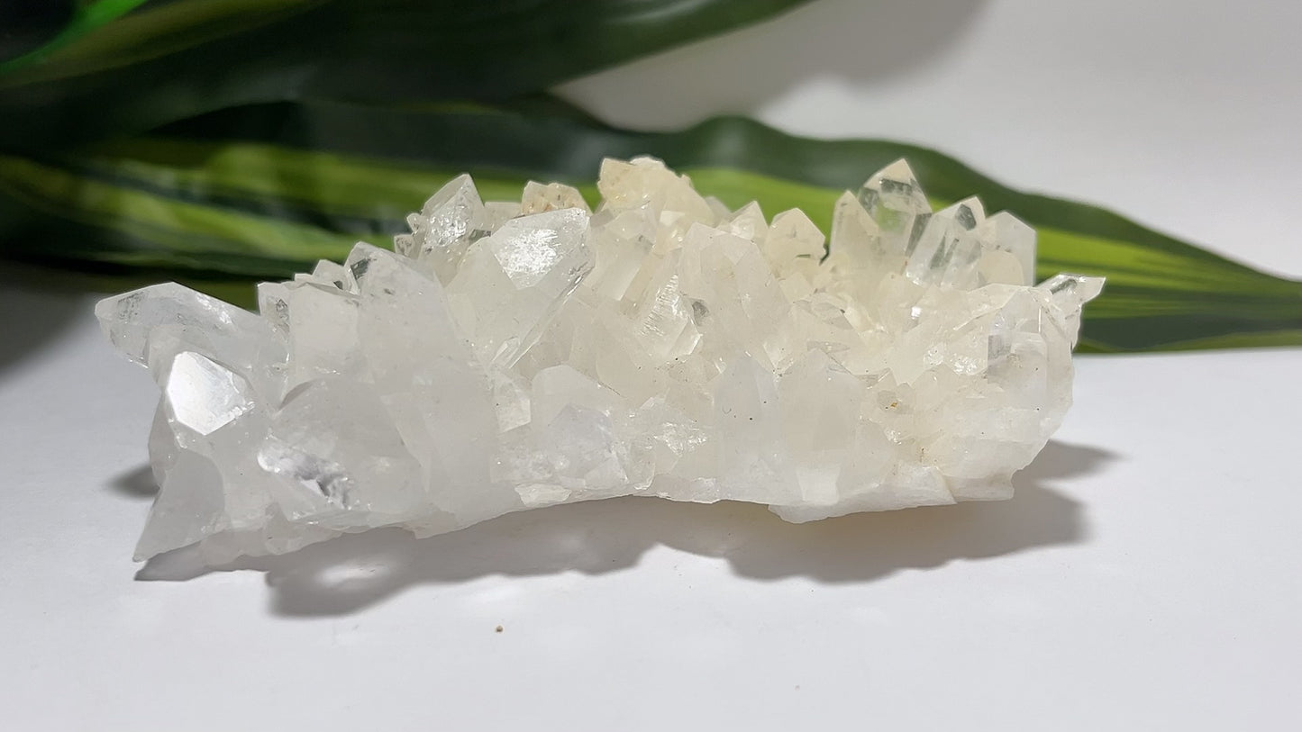 Clear Quartz Cluster 266g
