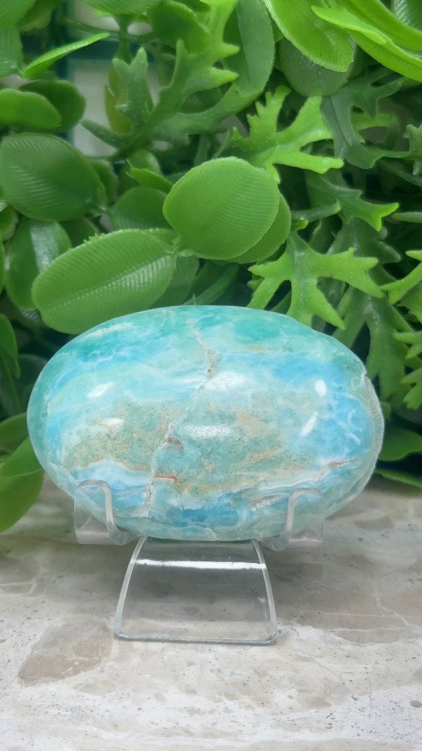 Aragonite Palm Stone 108g