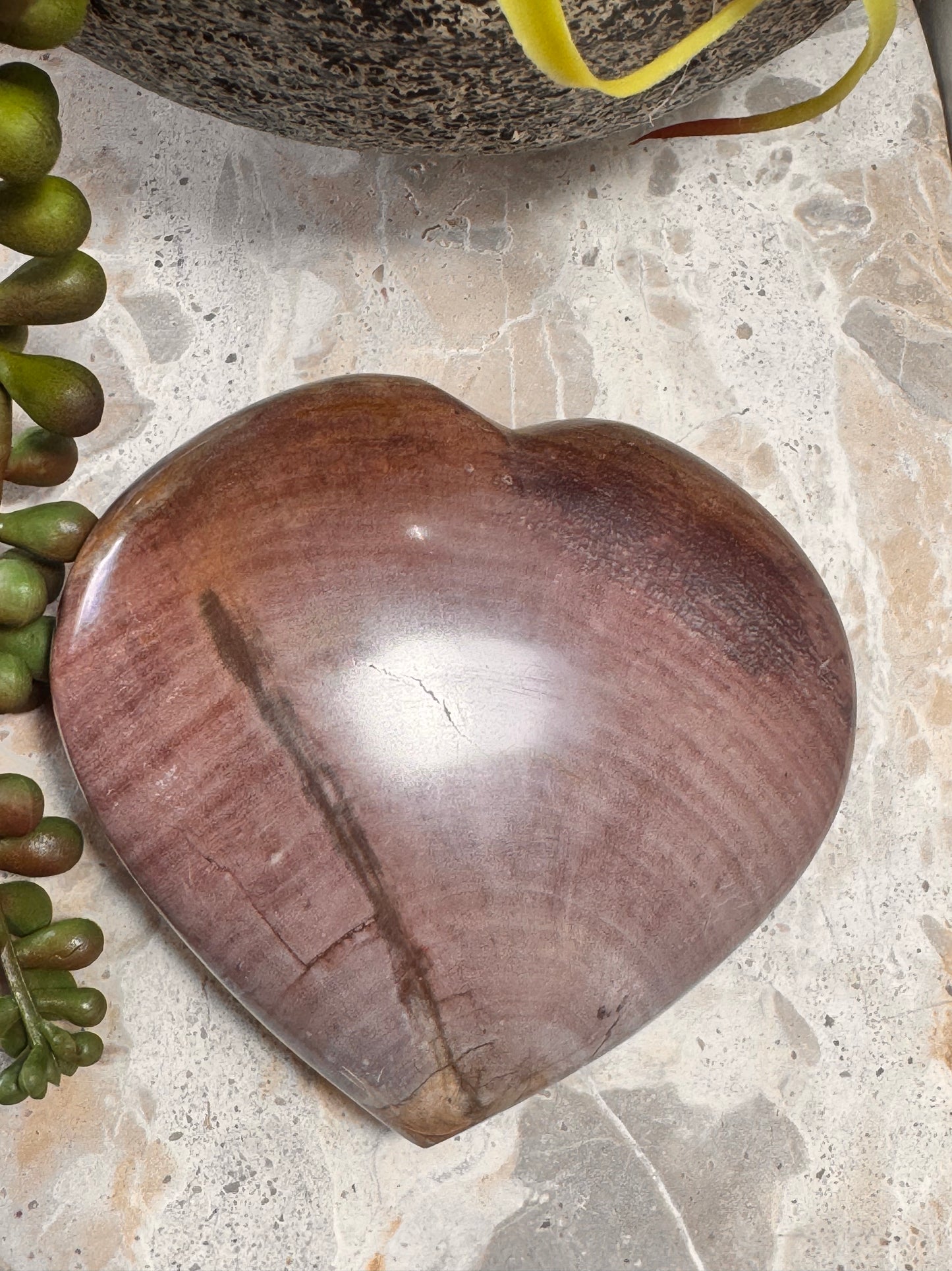Petrified Wood Heart 266g