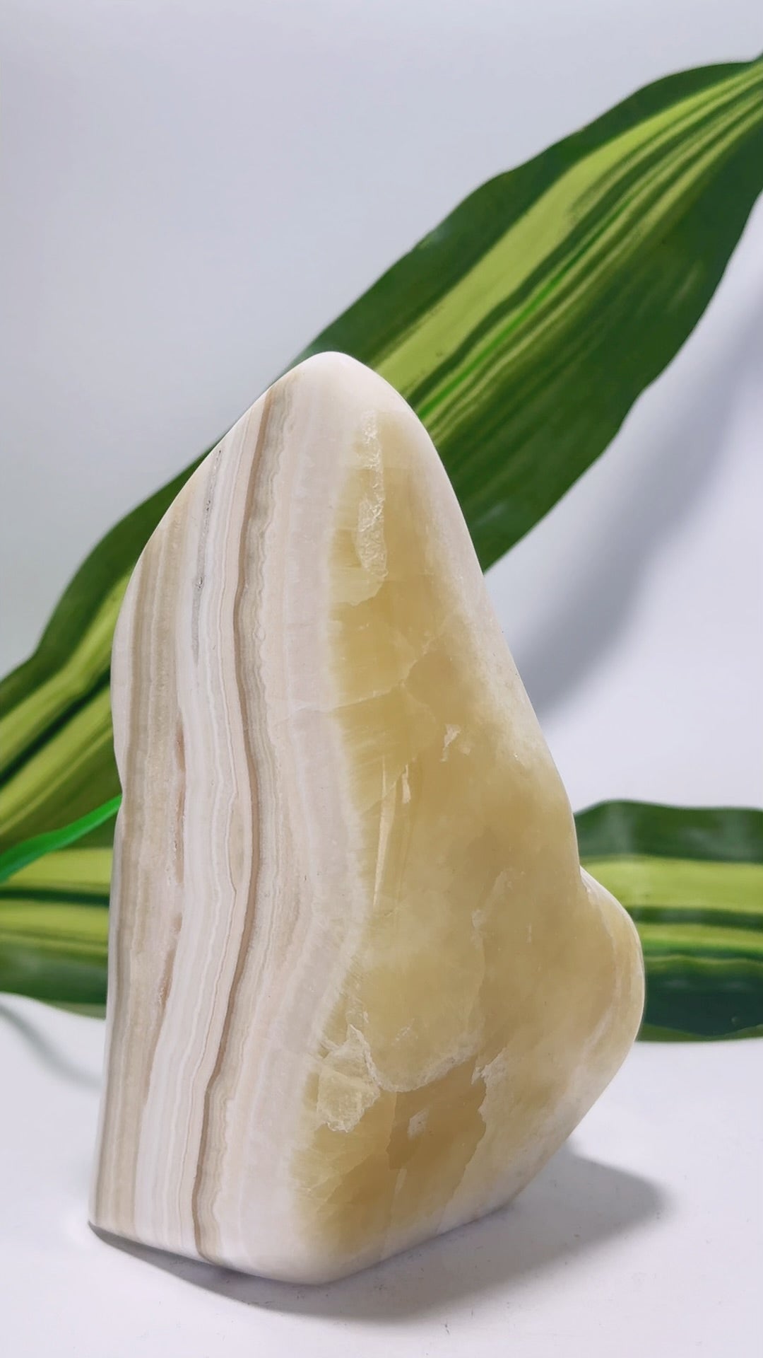 Pineapple Freeform 624g