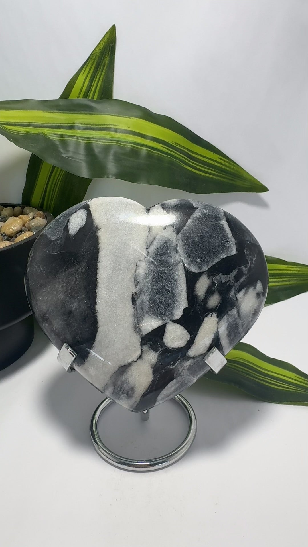 Shell Jasper Heart 738g