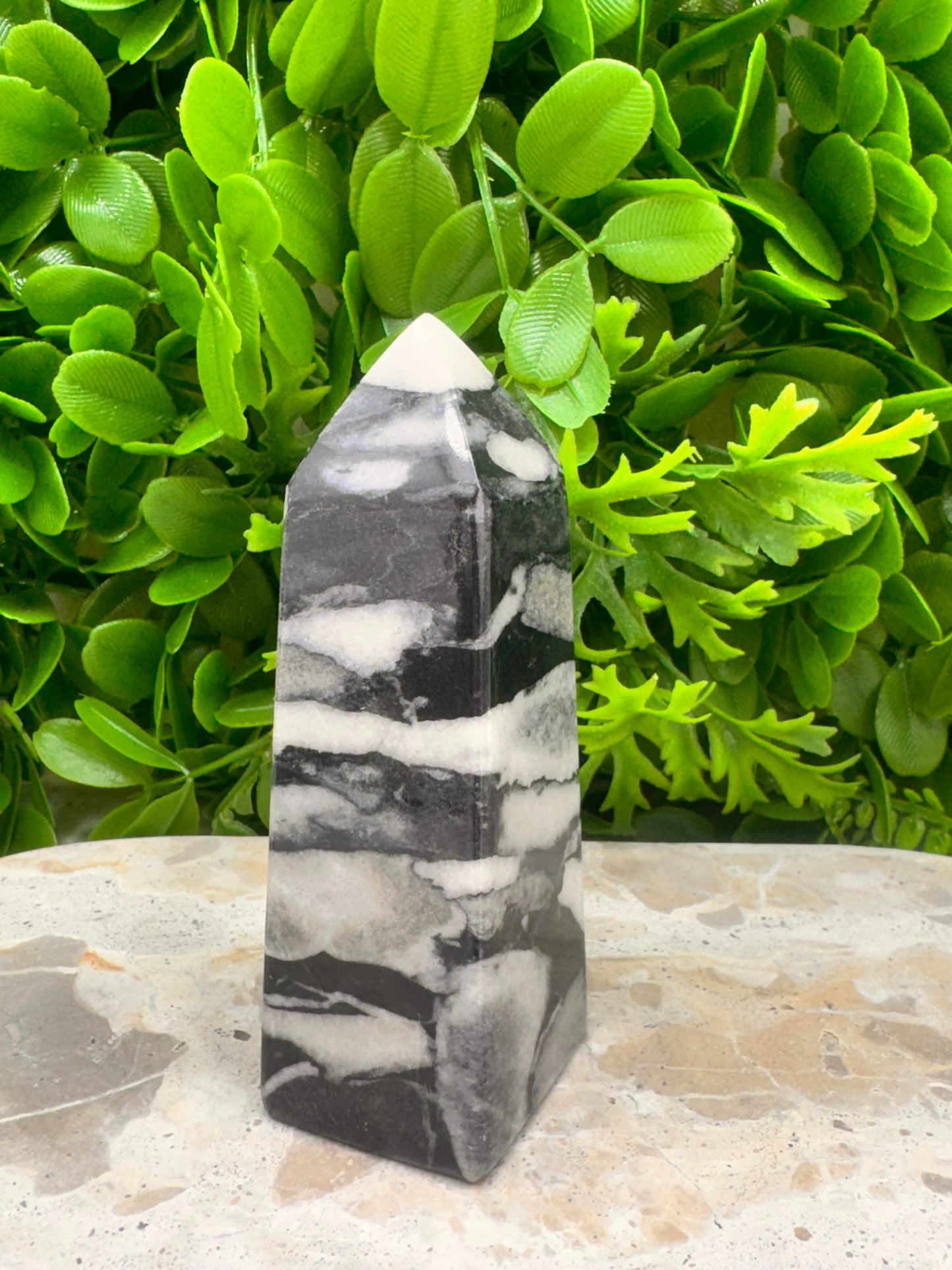 Shell Jasper Tower 278g