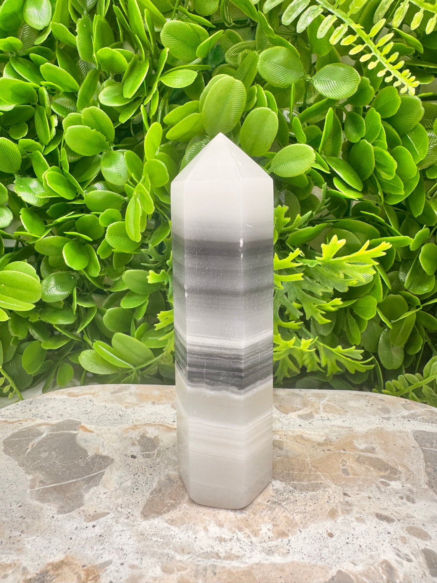 Black and White Tower 318g