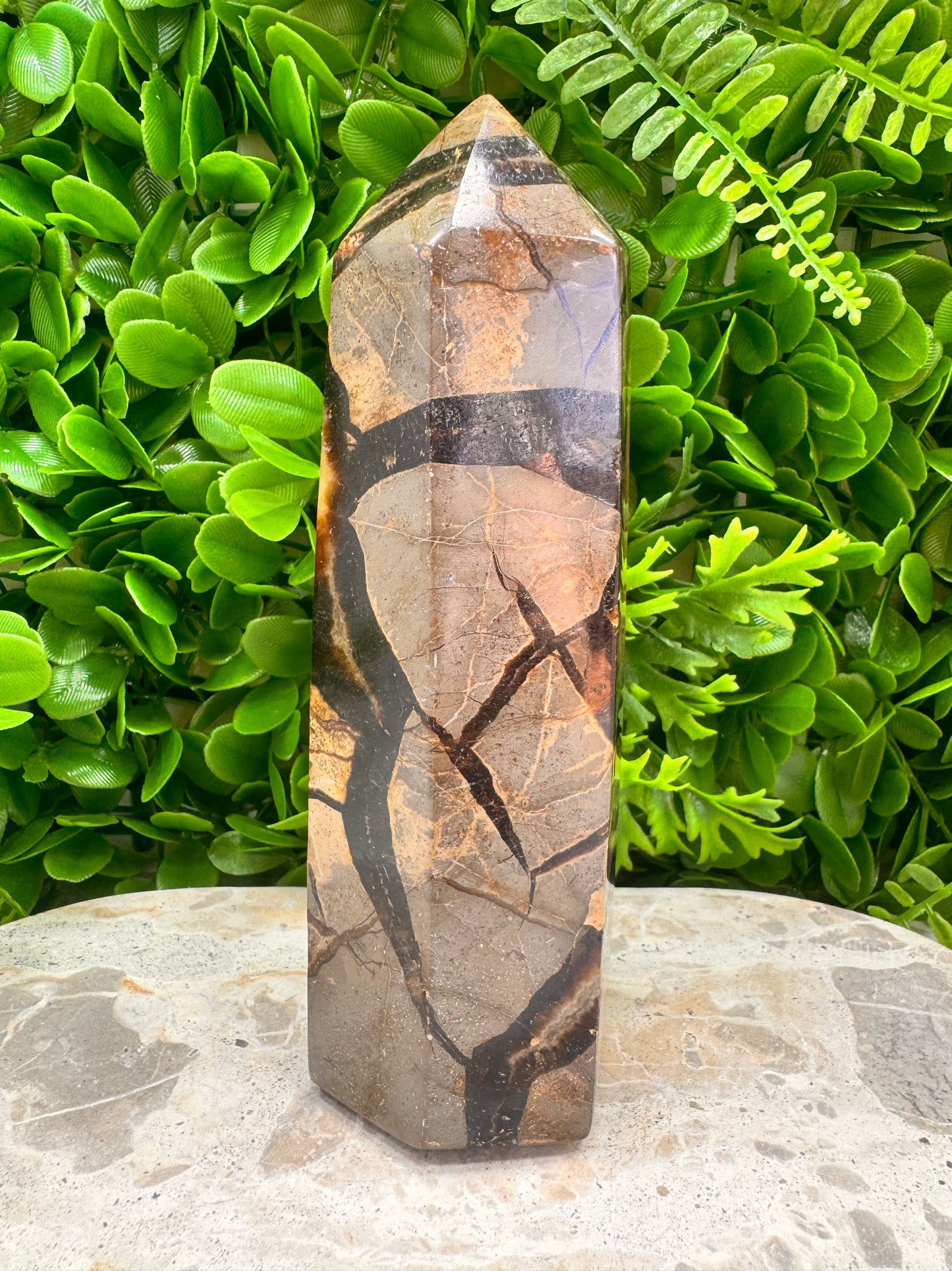 Septarian Tower 910g