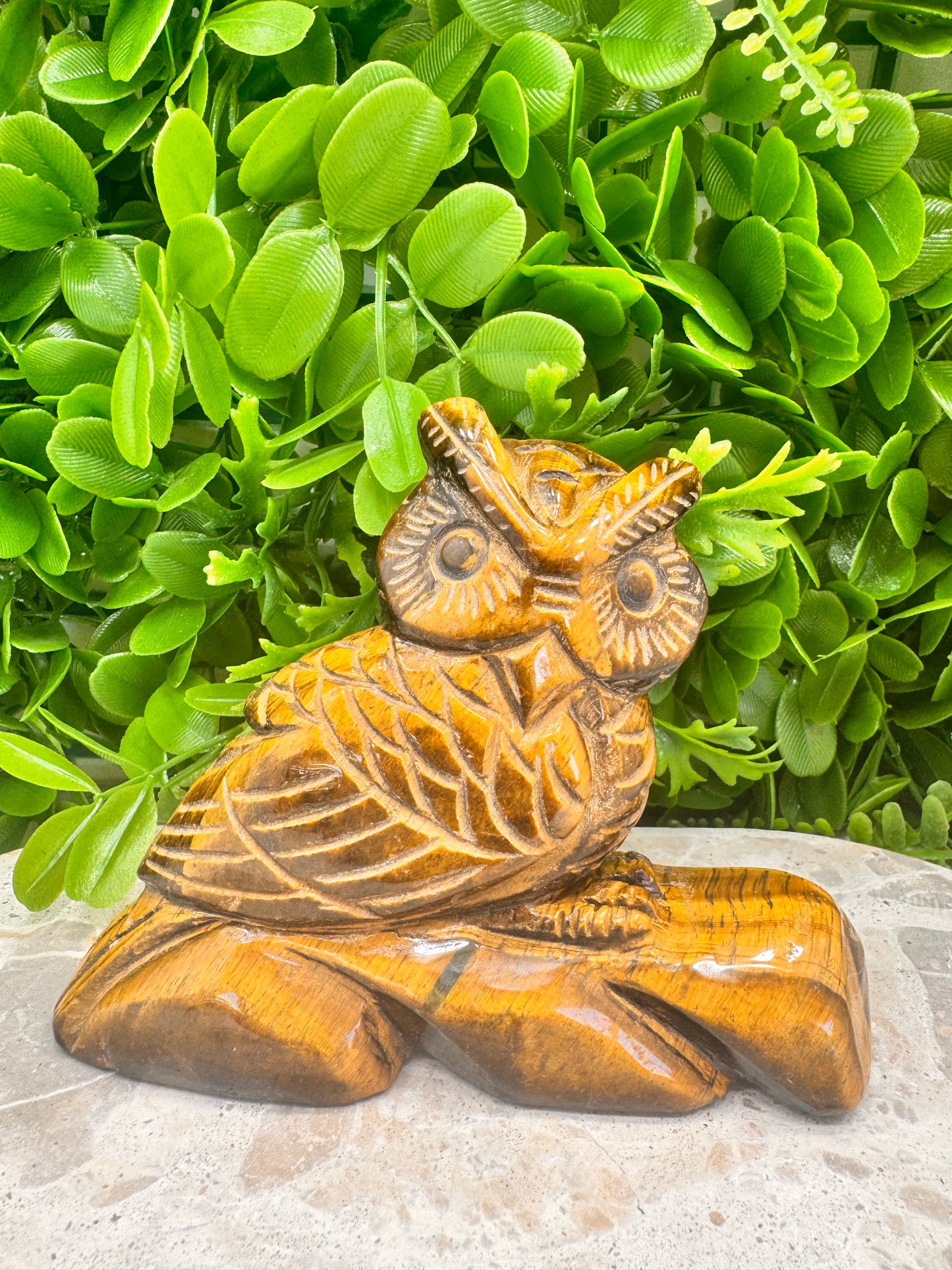 Tiger Eye Owl on a Log 590g