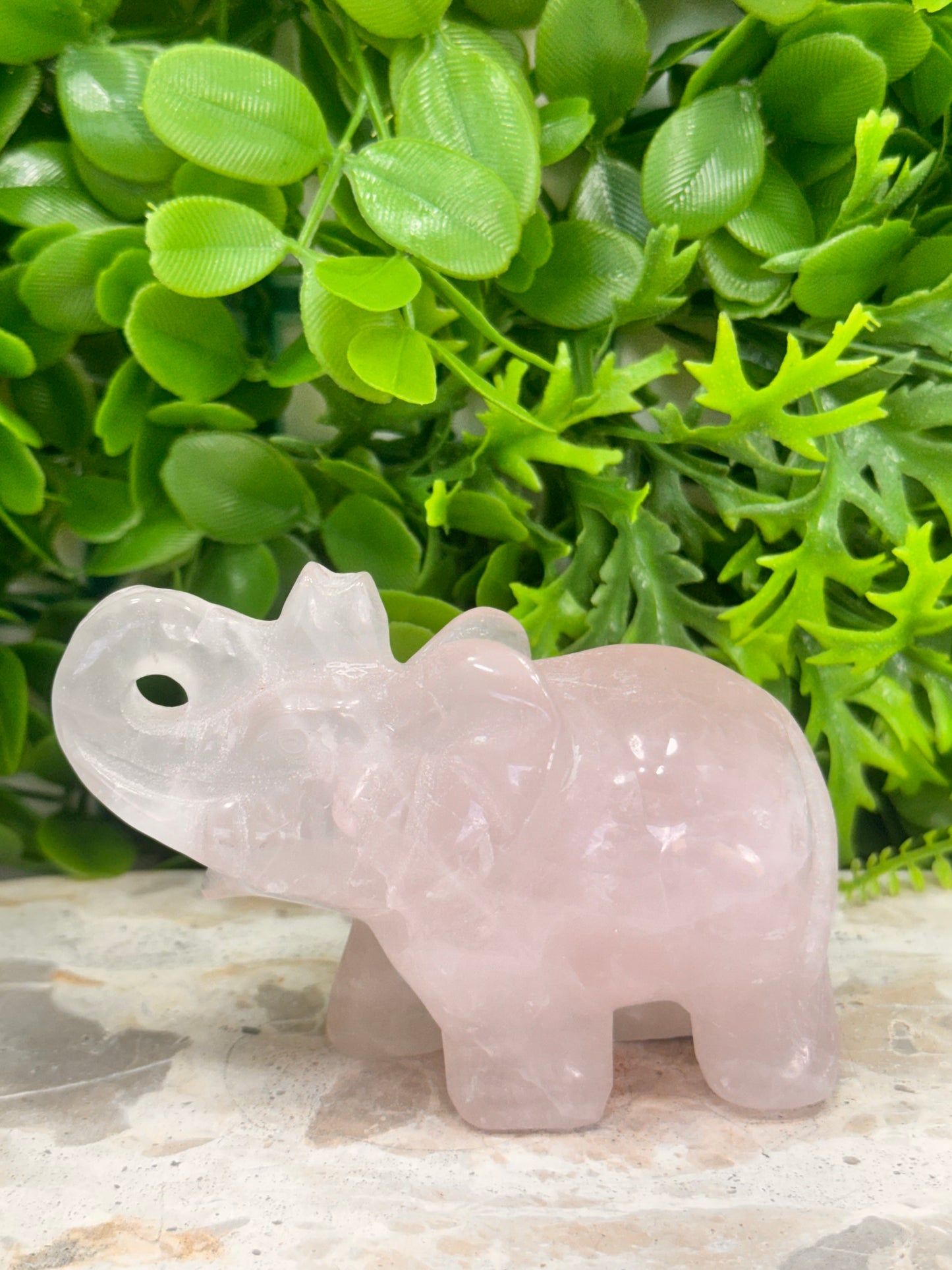 Rose Quartz Elephant 312g