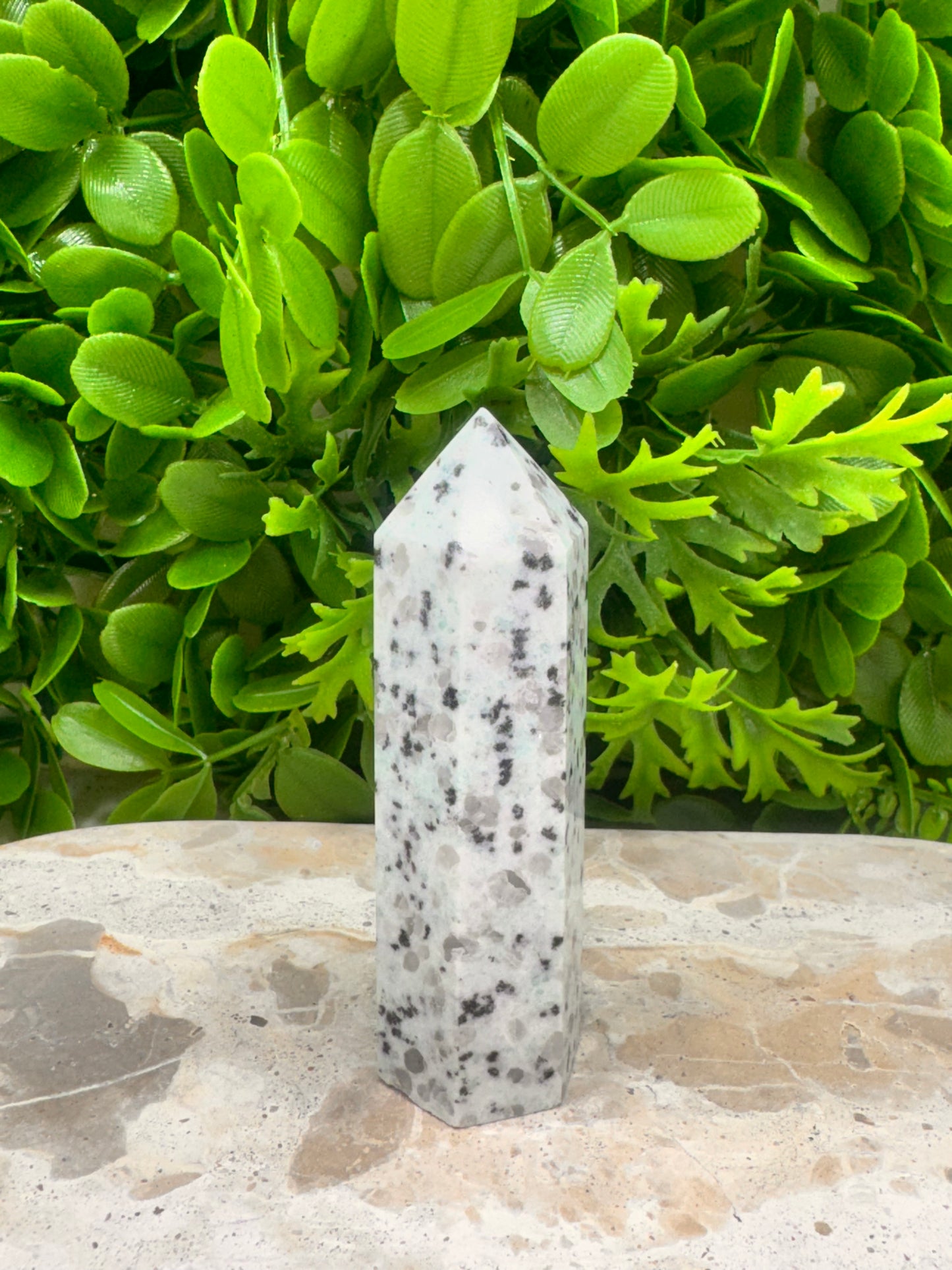 Kiwi Jasper Point 130g