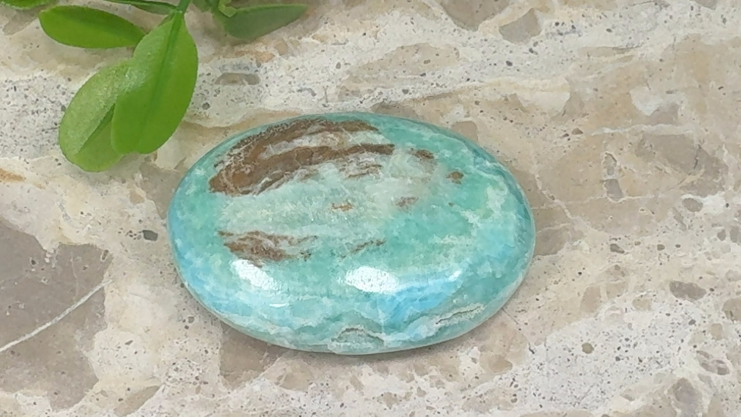 Aragonite Palm Stone 108g