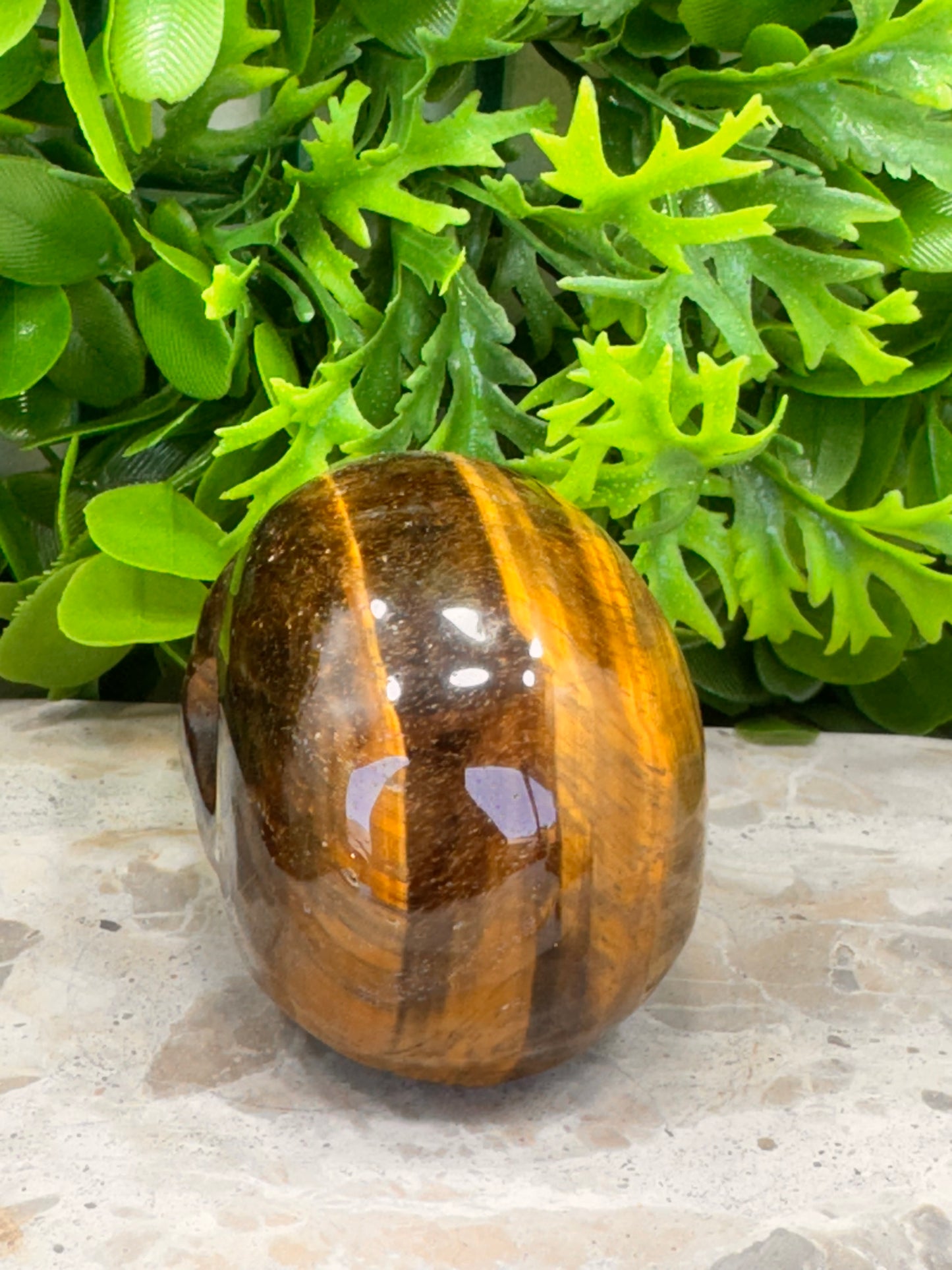 Tiger Eye Skull 386g
