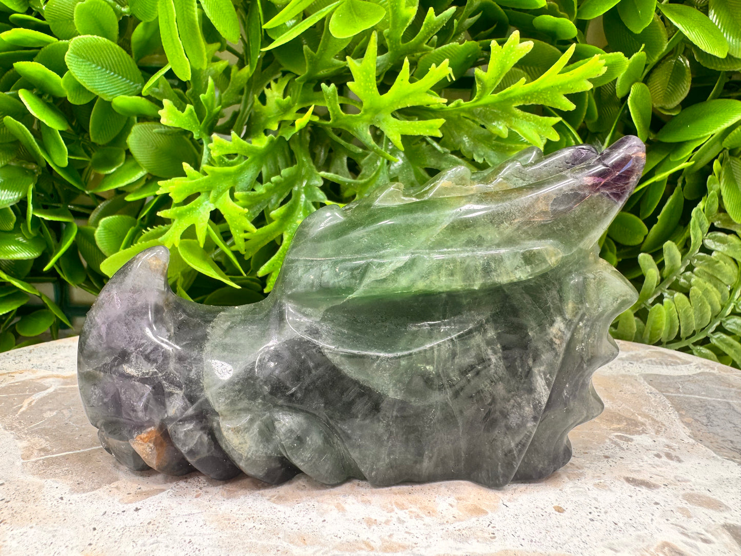 Green Purple Fluorite Dragon 588g