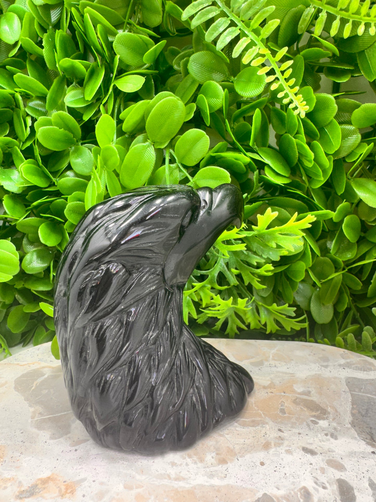 Black Obsidian Eagle 634g