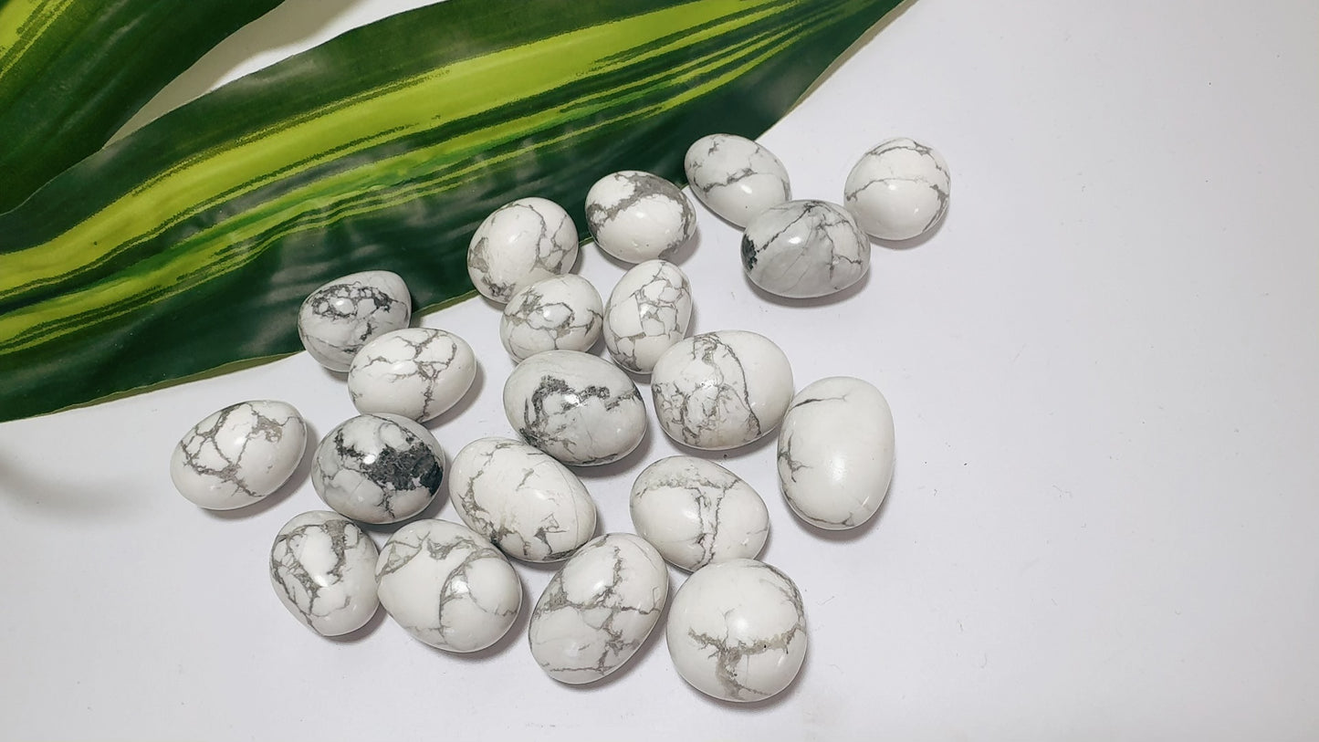 Howlite Tumbles