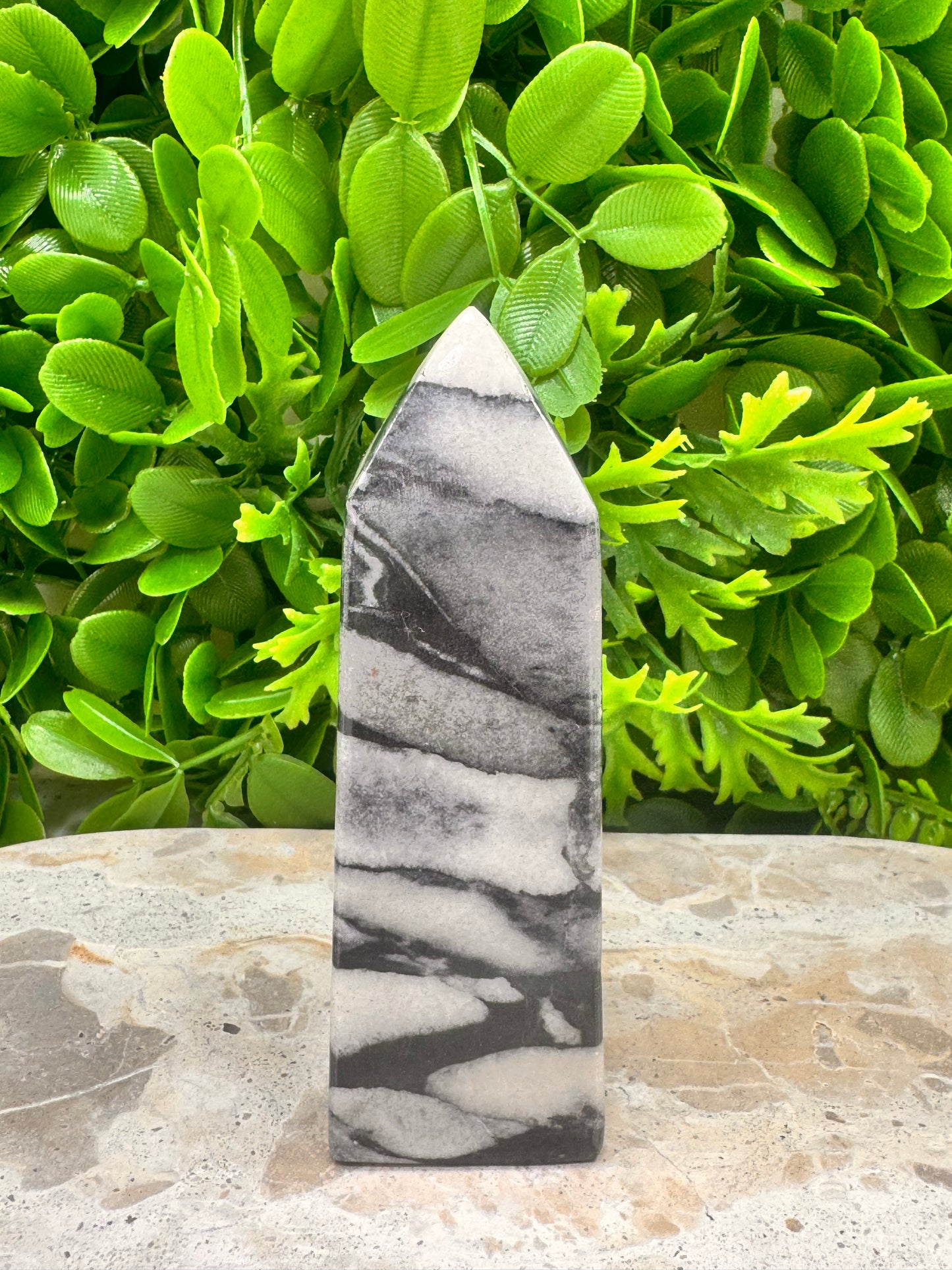 Shell Jasper Tower 278g
