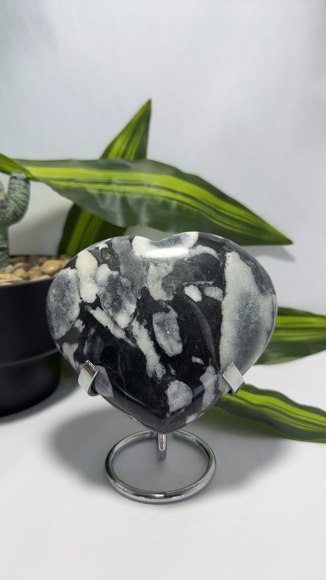 Shell Jasper Heart 738g