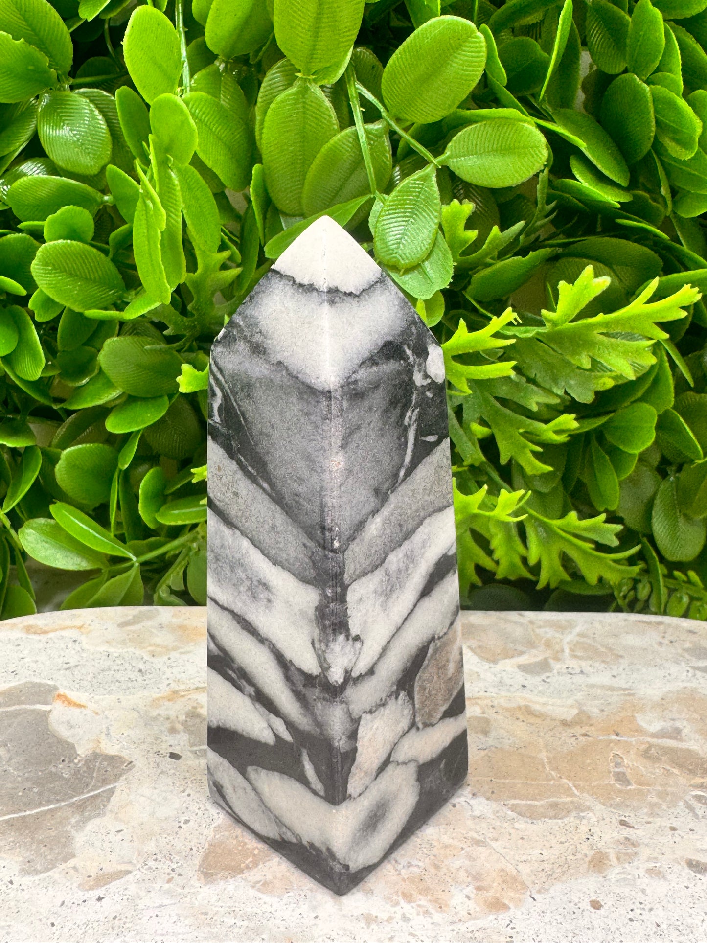 Shell Jasper Tower 278g